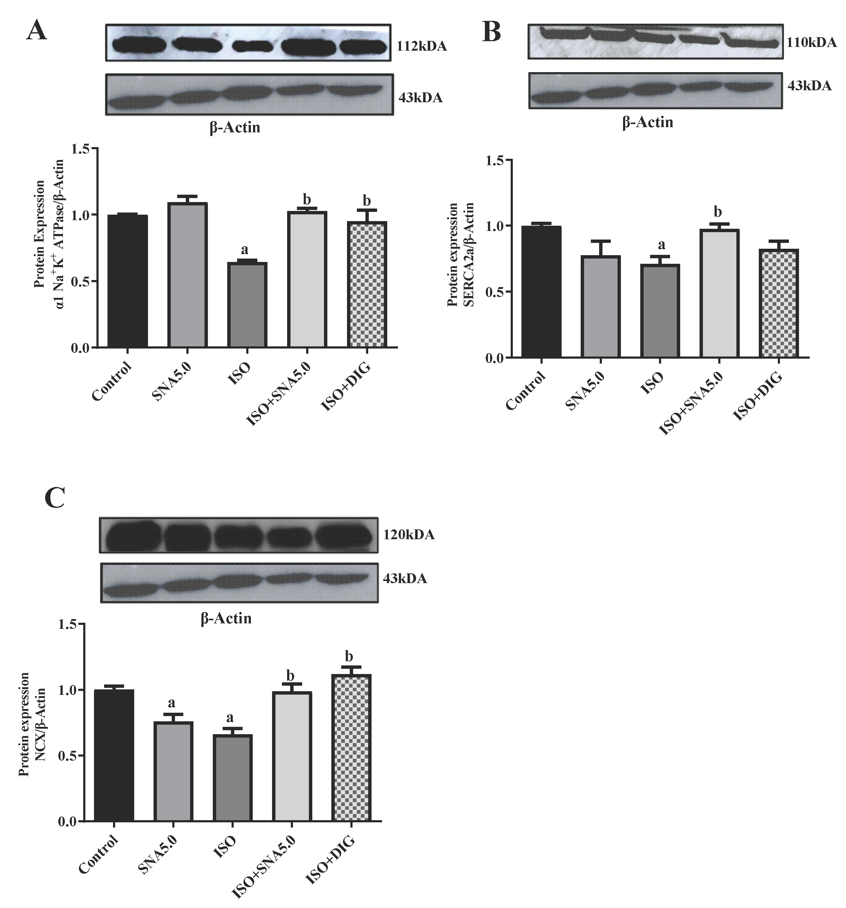 Biomedicines 13 02115 g005 Biomedicines 13 02115 g005
