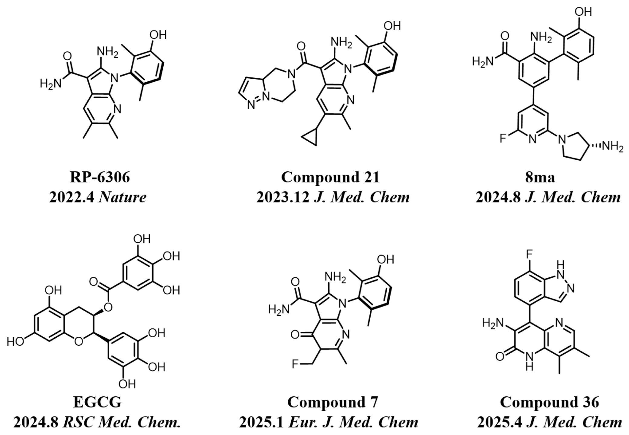 Biomedicines 13 02116 g001