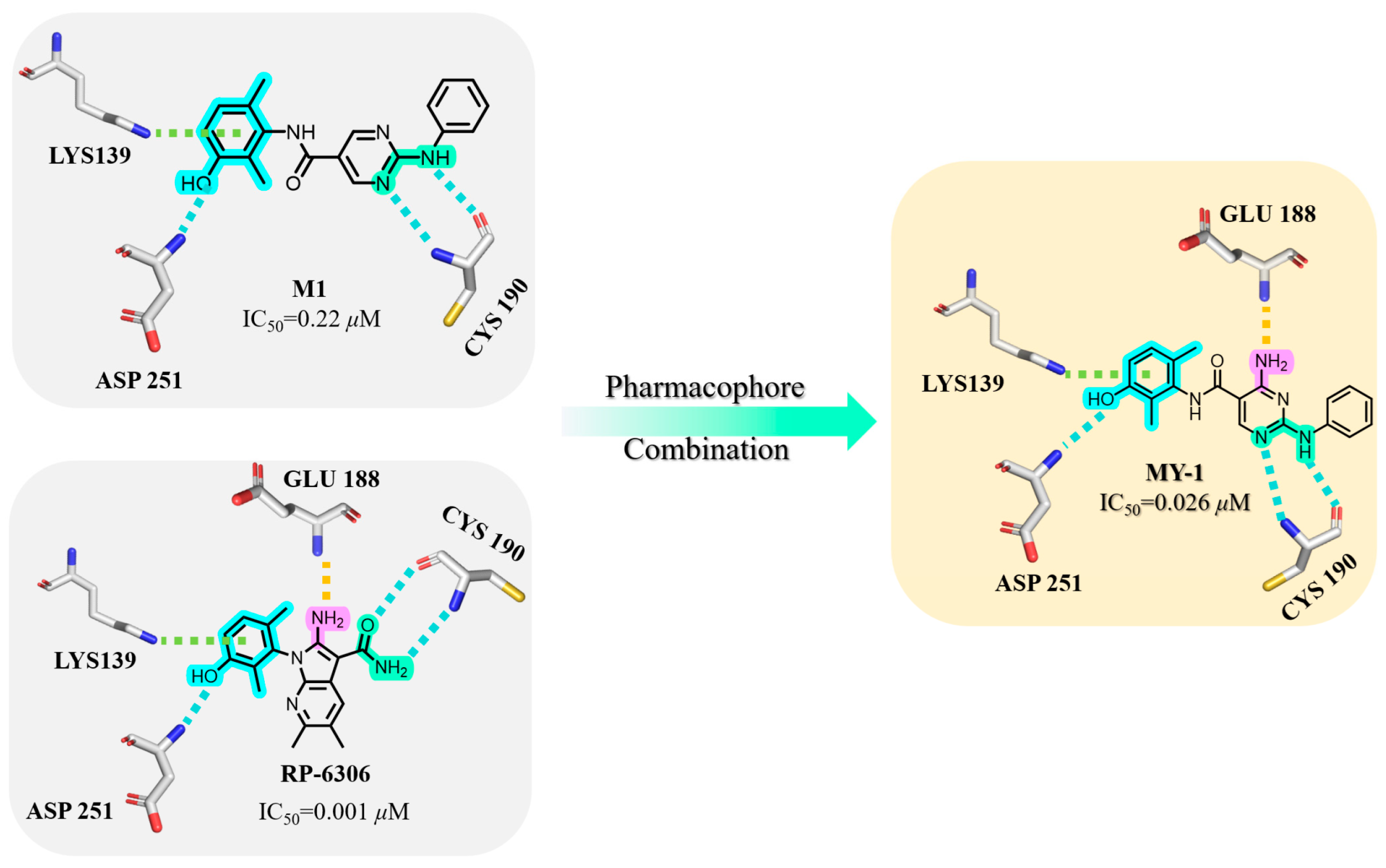 Biomedicines 13 02116 g002