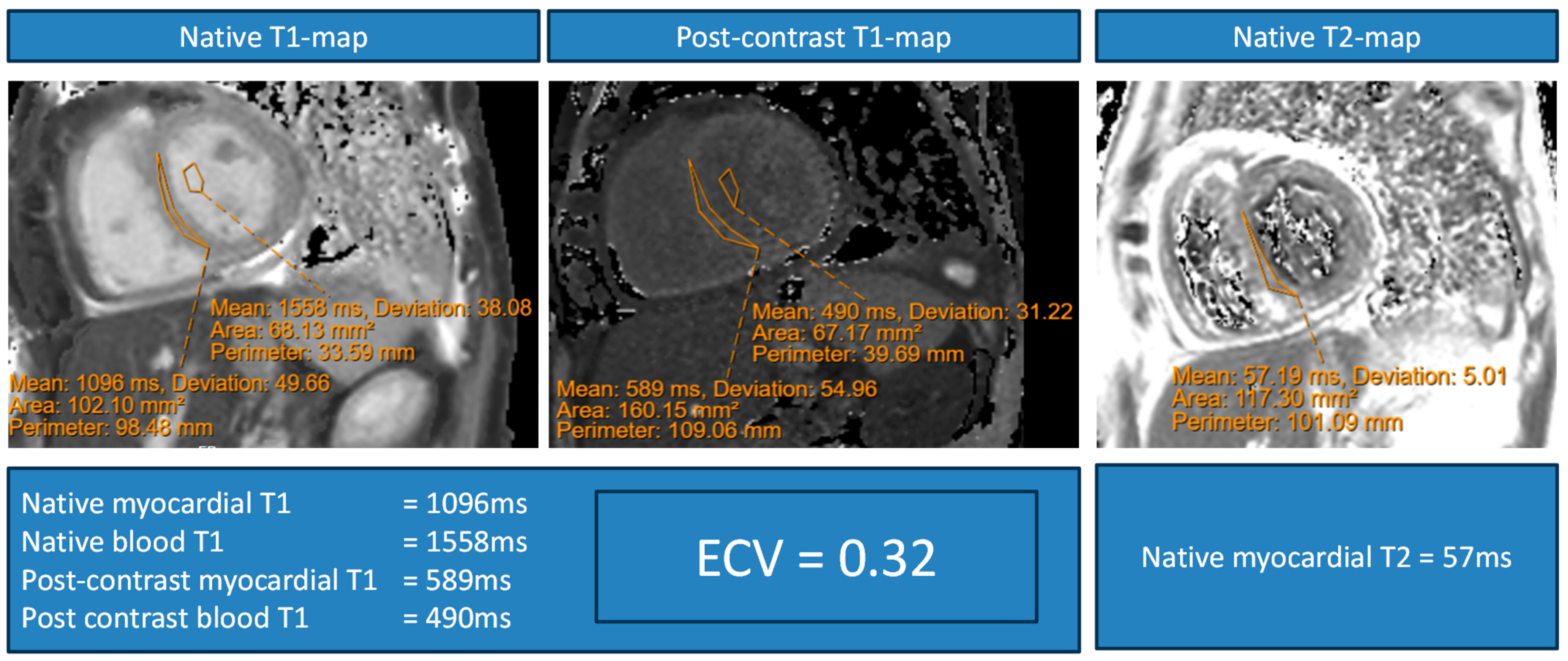 Biomedicines 13 02119 g008 Biomedicines 13 02119 g008
