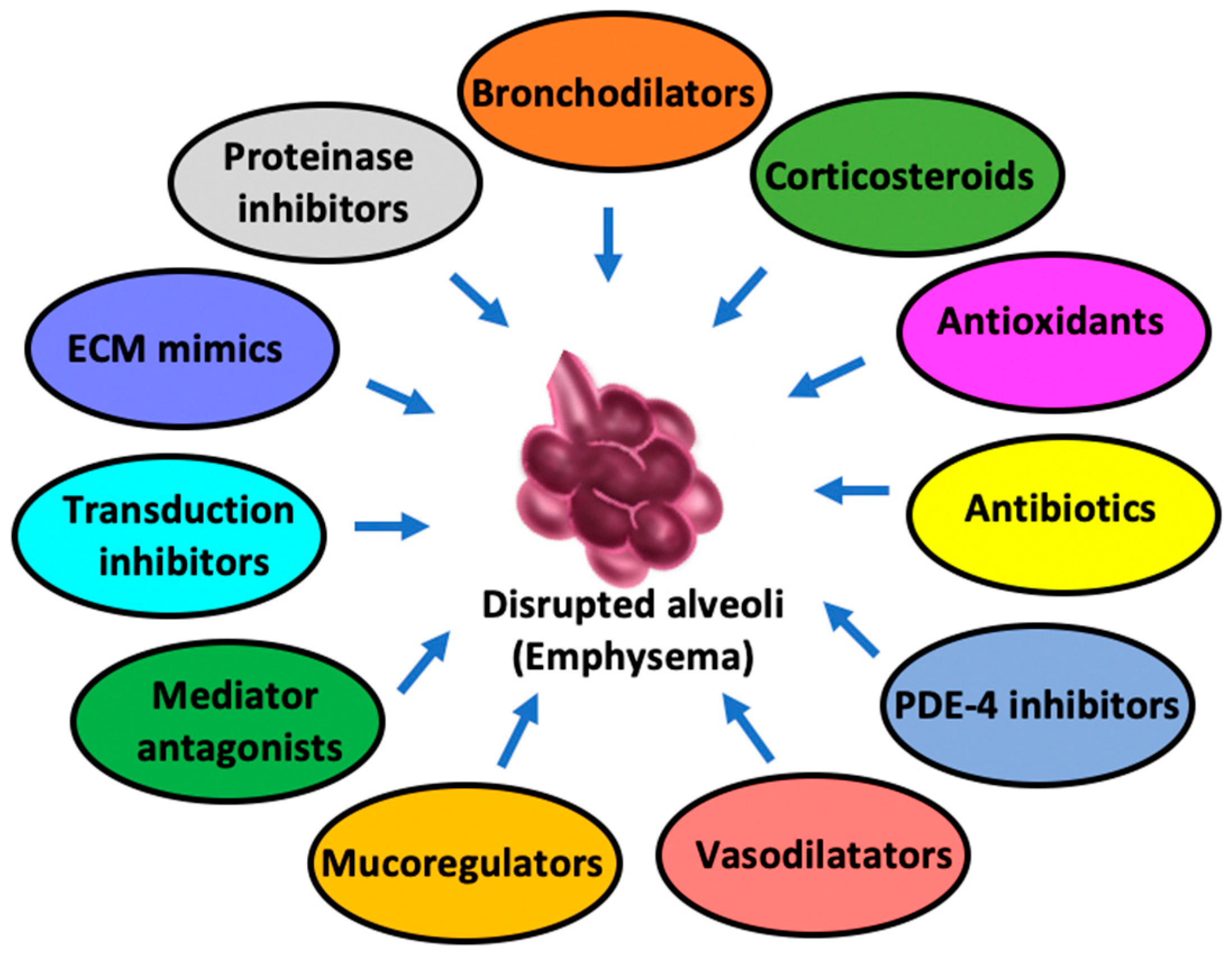 Biomedicines 13 02120 g002 Biomedicines 13 02120 g002