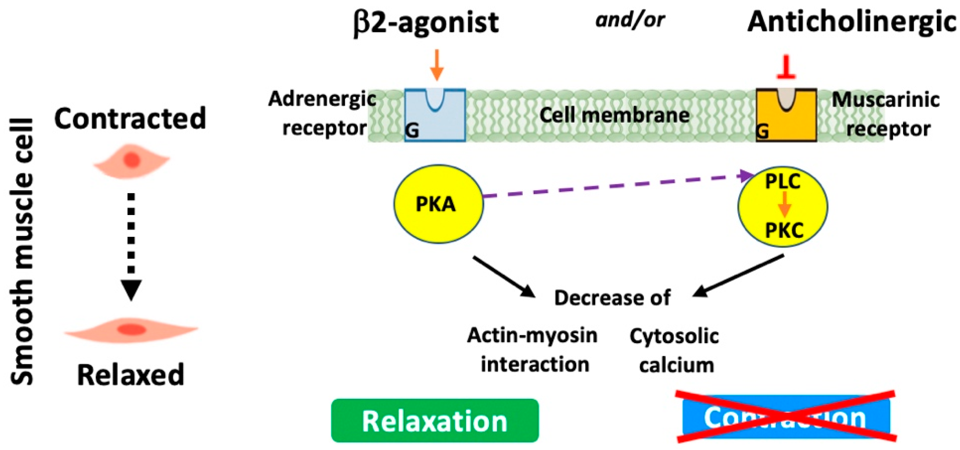 Biomedicines 13 02120 g003 Biomedicines 13 02120 g003