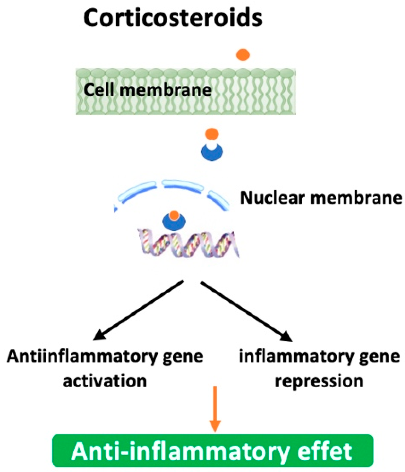 Biomedicines 13 02120 g004 Biomedicines 13 02120 g004