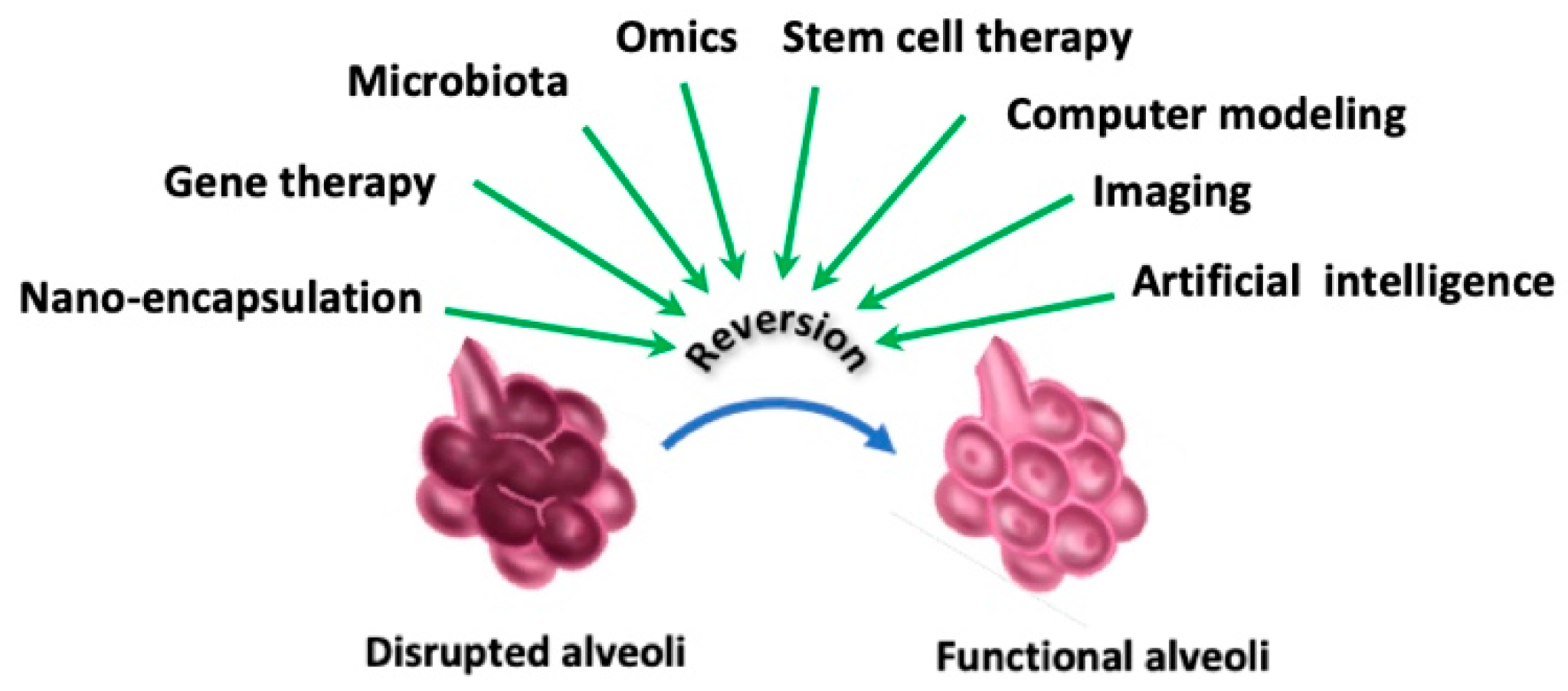 Biomedicines 13 02120 g005 Biomedicines 13 02120 g005