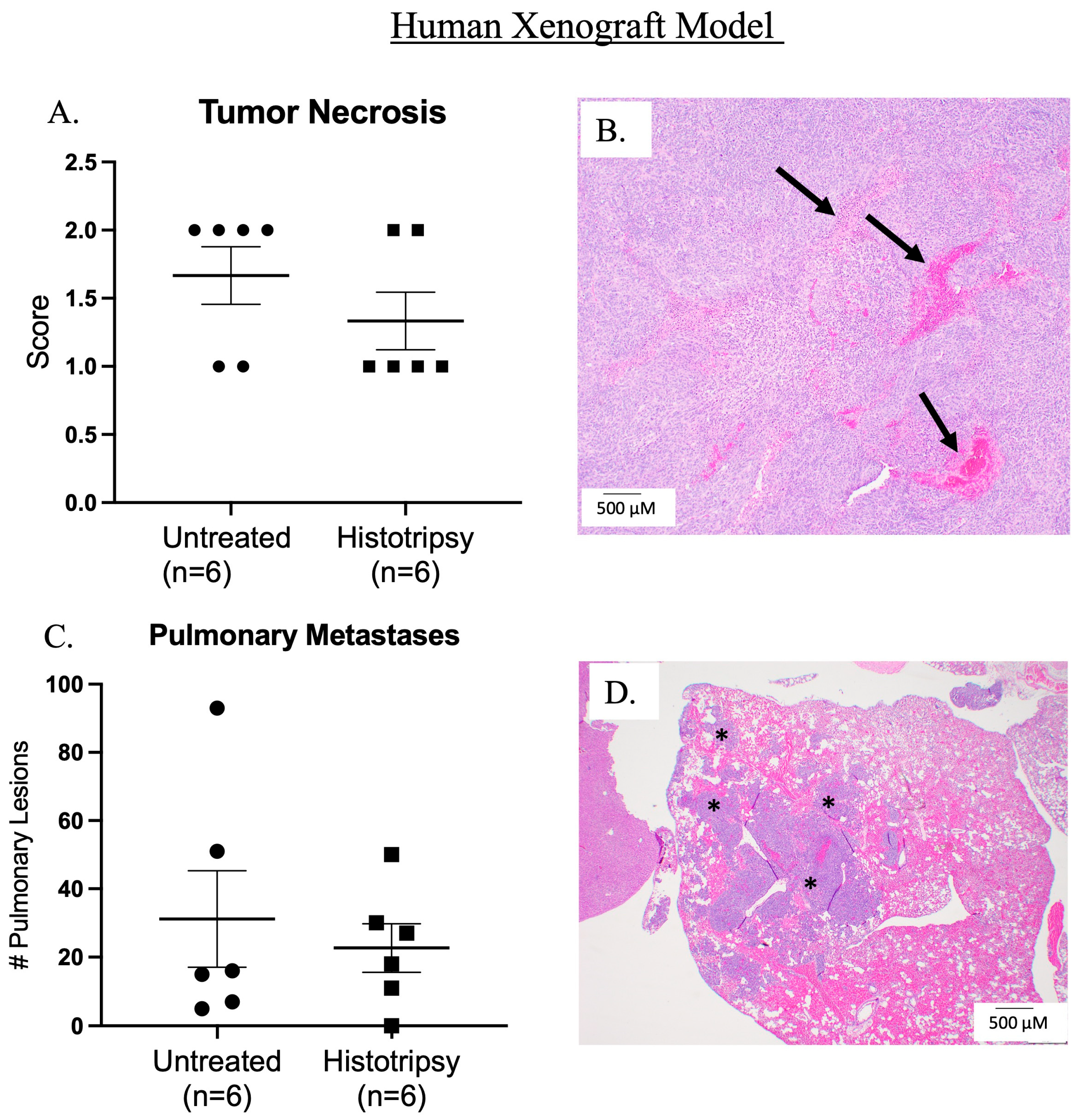 Biomedicines 13 02122 g003