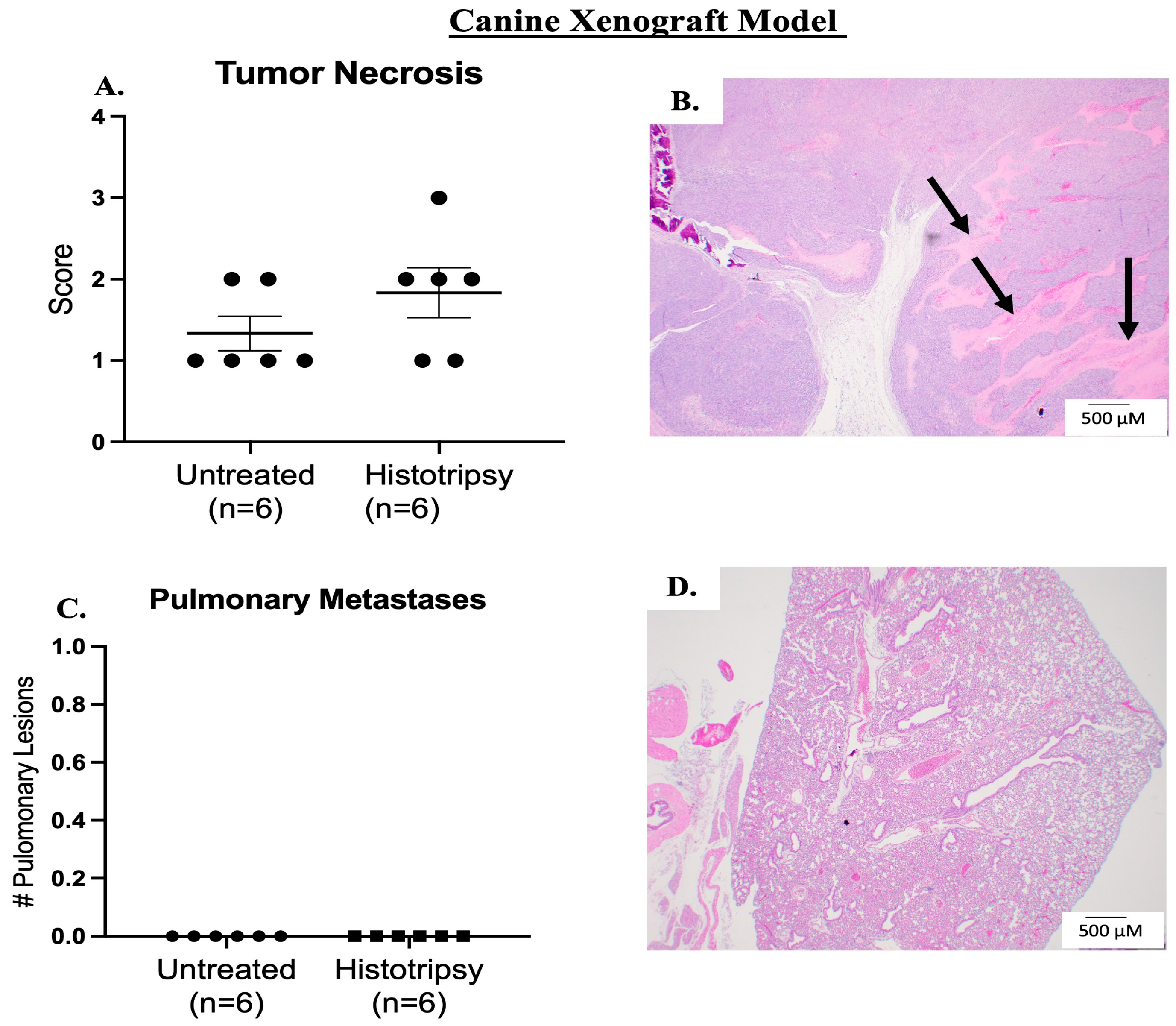 Biomedicines 13 02122 g006