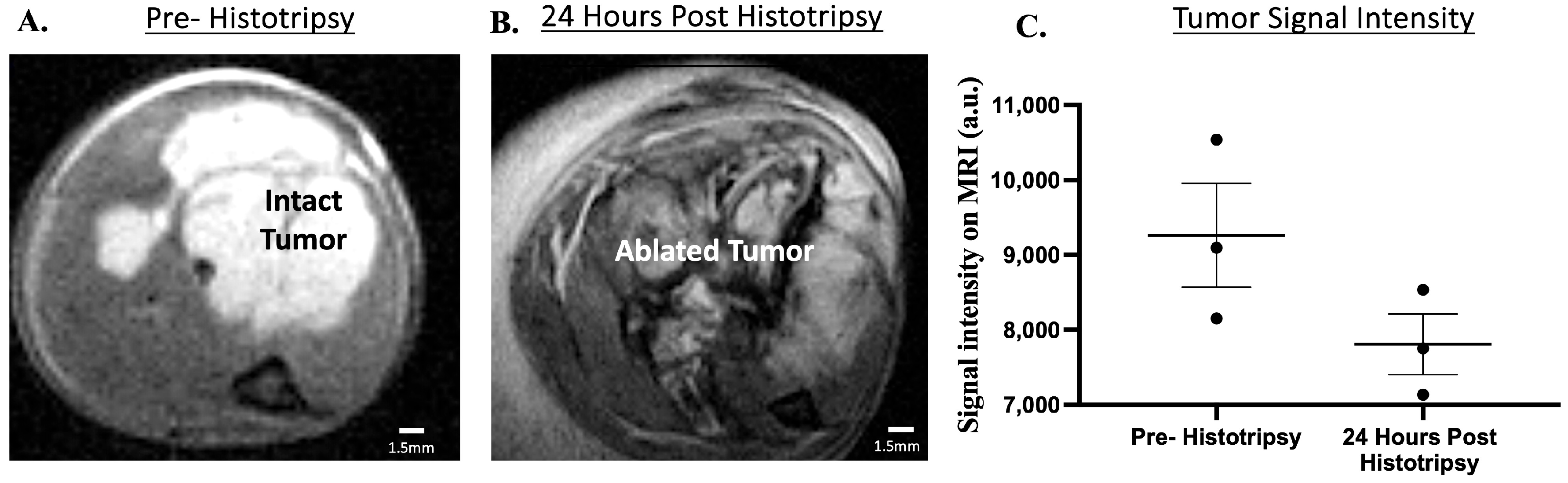 Biomedicines 13 02122 g008