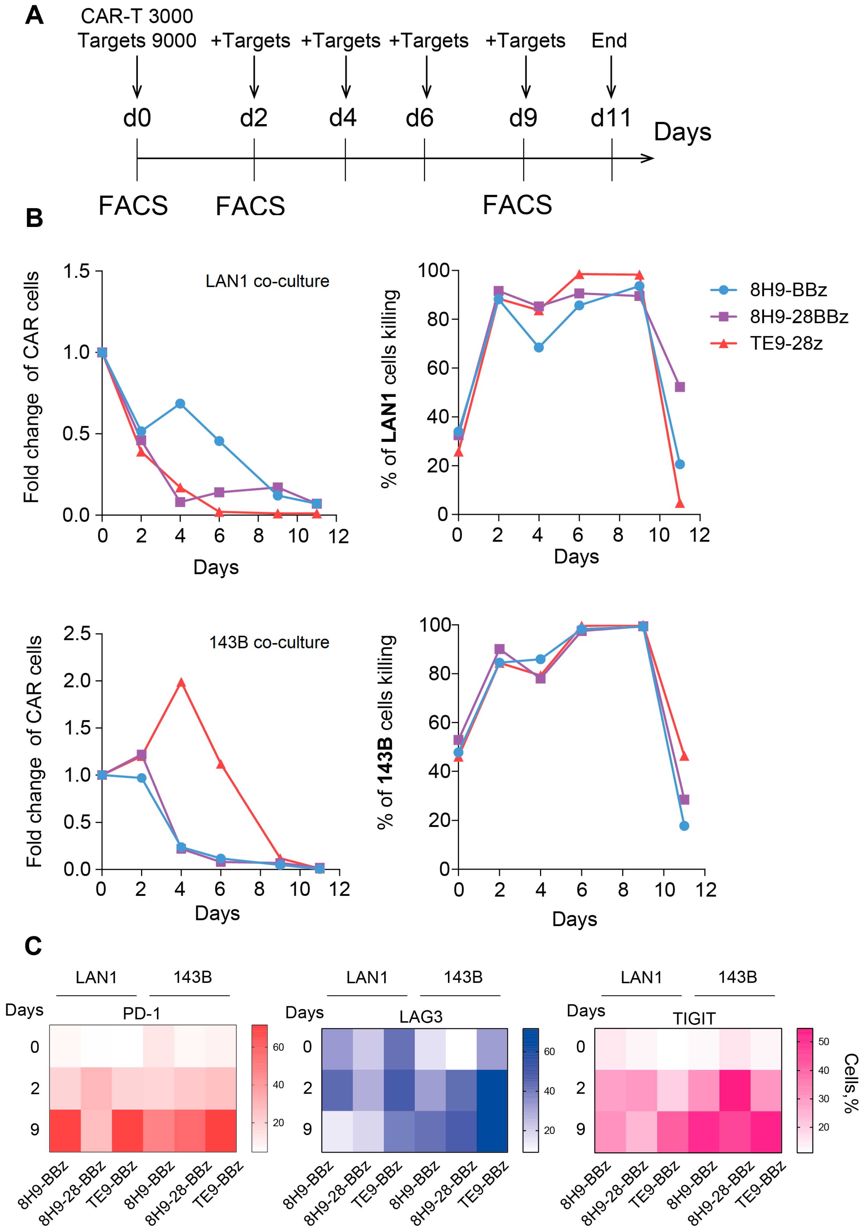Biomedicines 13 02130 g005