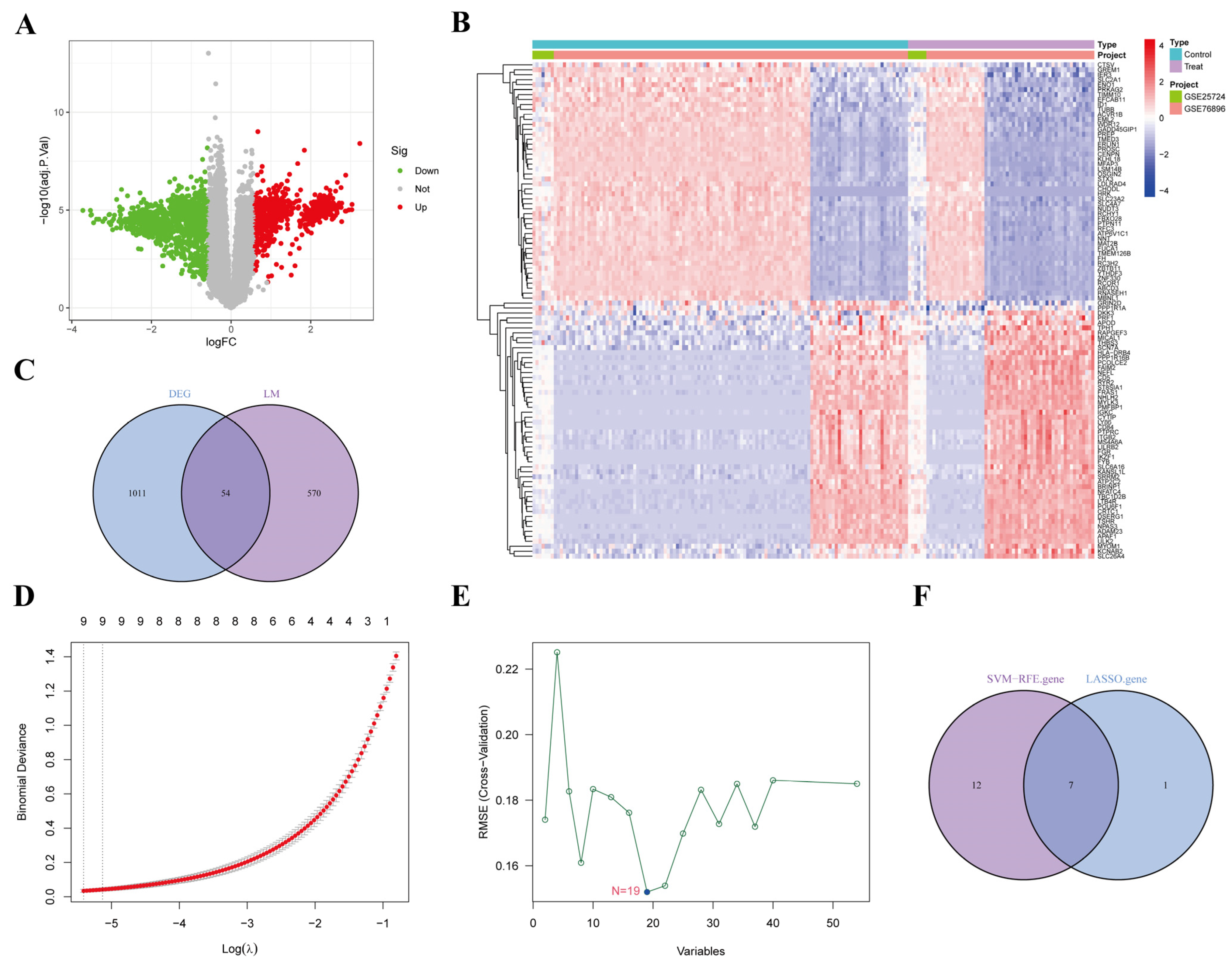 Biomedicines 13 02132 g003 Biomedicines 13 02132 g003