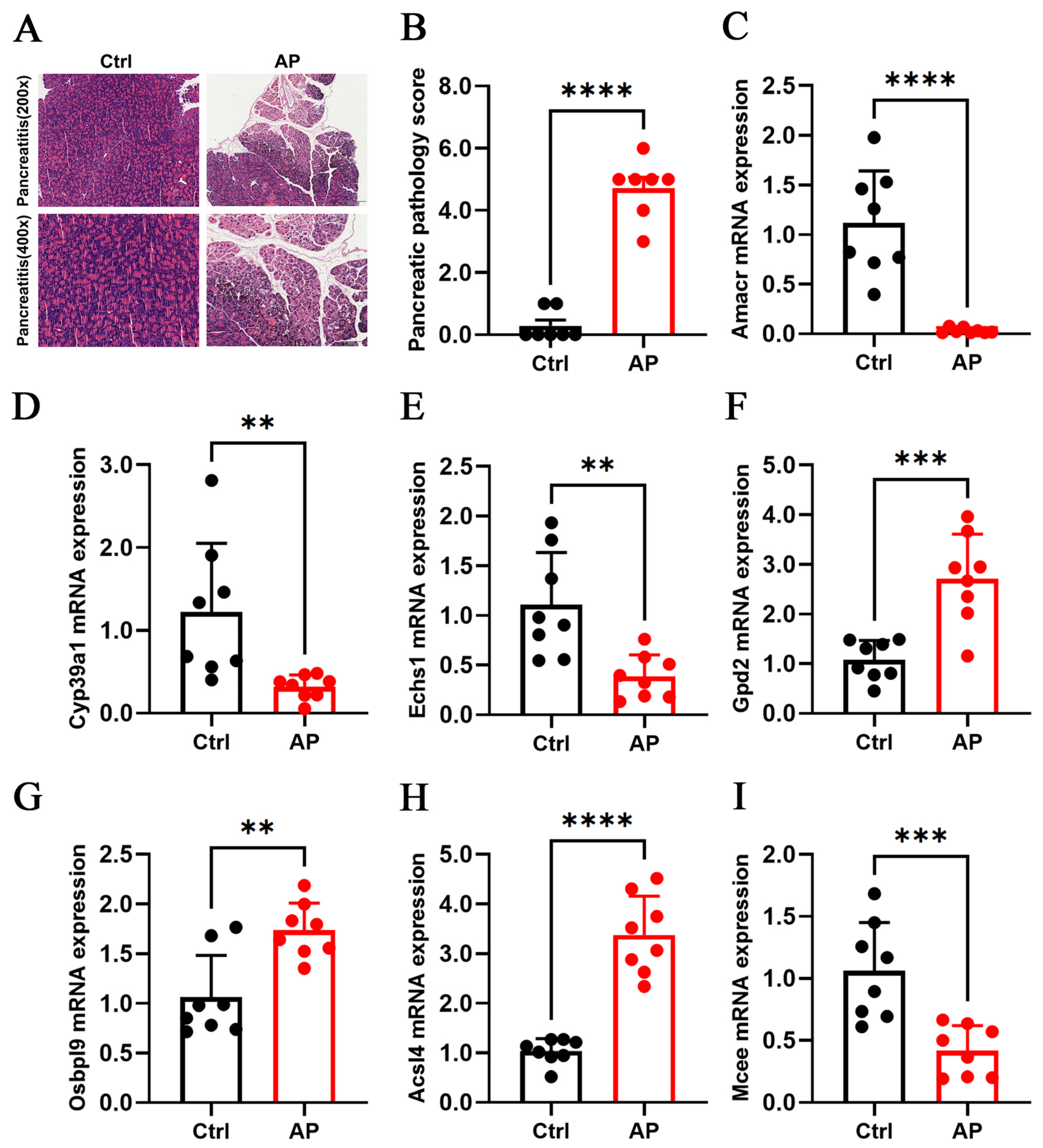 Biomedicines 13 02132 g006 Biomedicines 13 02132 g006