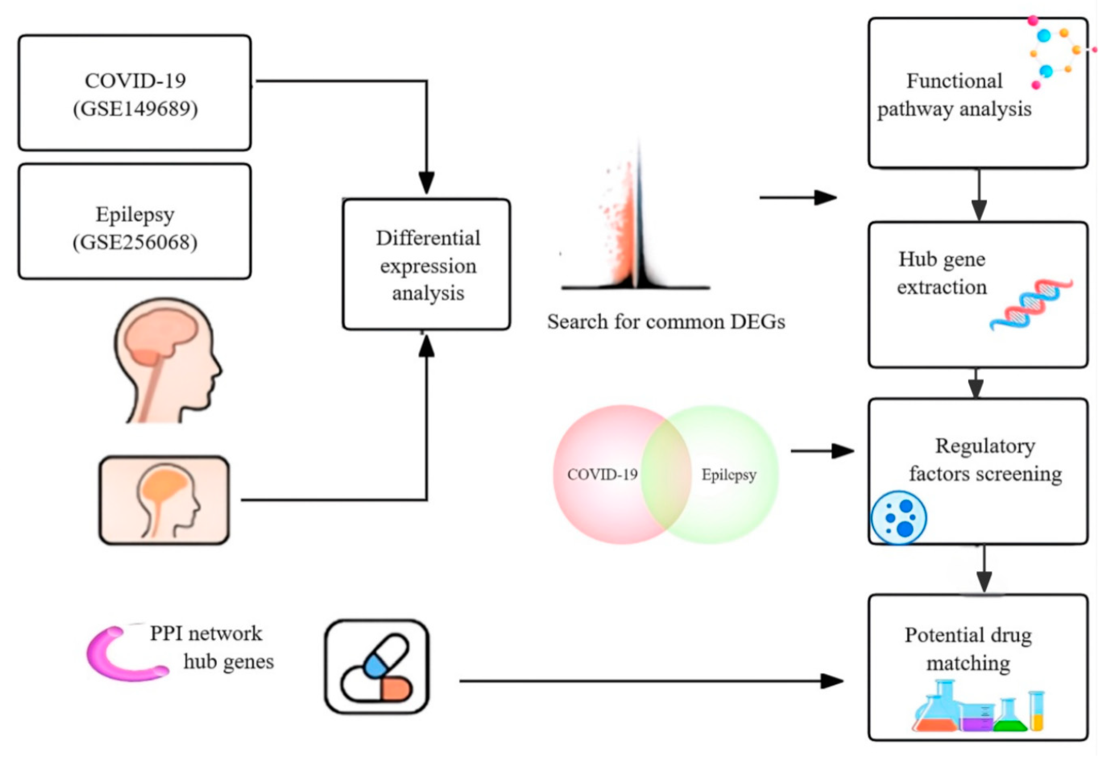 Biomedicines 13 02133 g001 Biomedicines 13 02133 g001