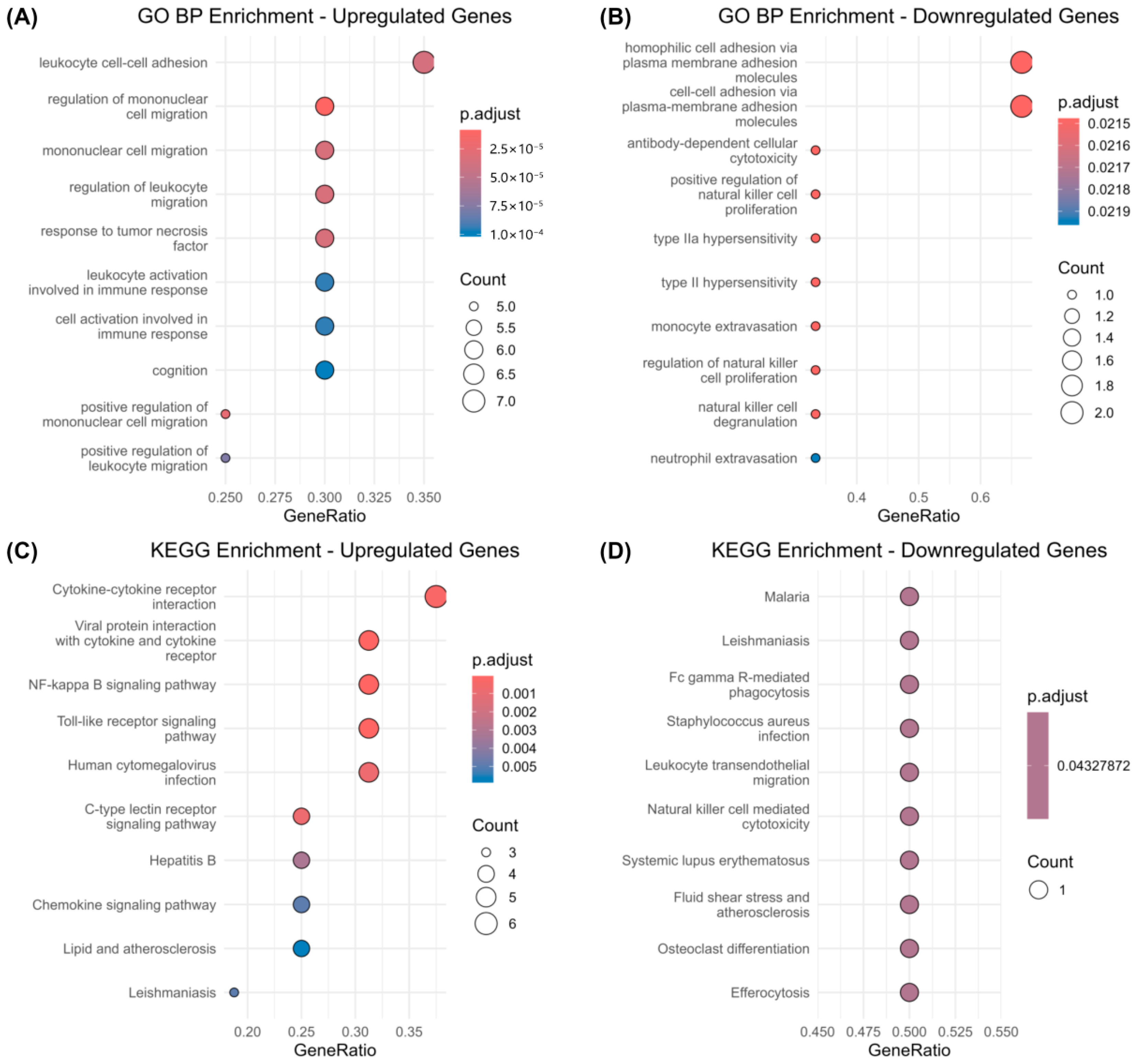Biomedicines 13 02133 g003 Biomedicines 13 02133 g003