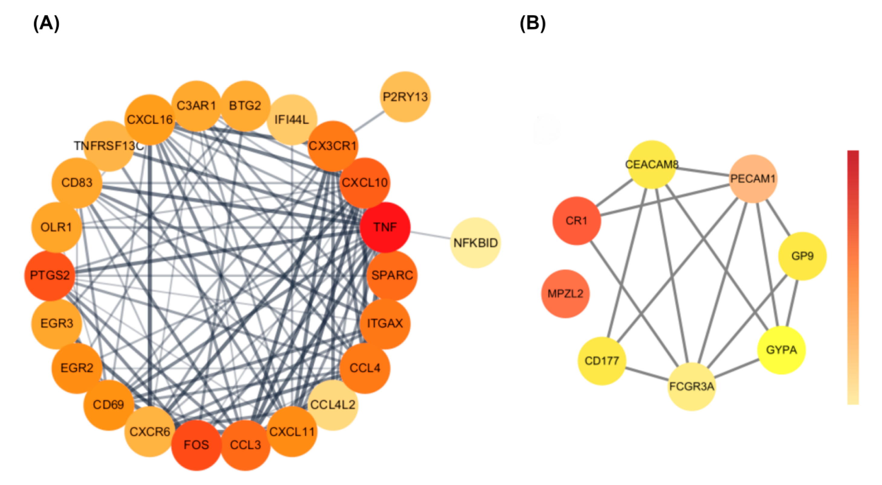 Biomedicines 13 02133 g004 Biomedicines 13 02133 g004