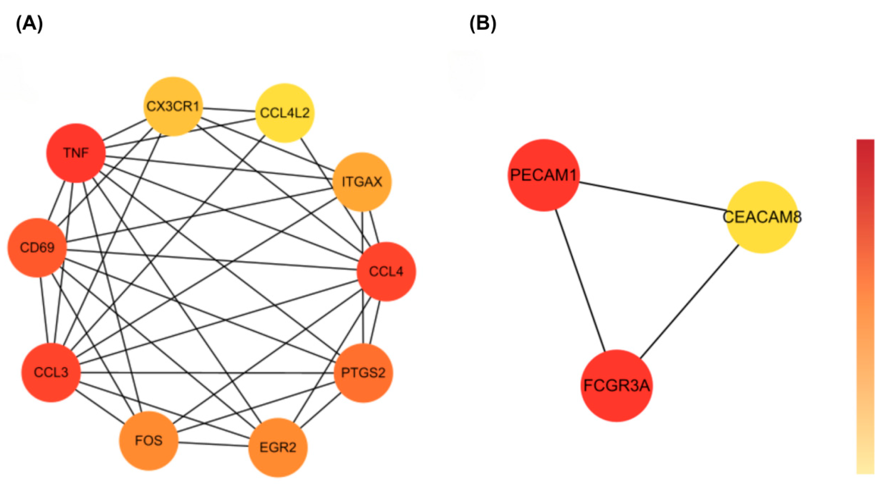 Biomedicines 13 02133 g005 Biomedicines 13 02133 g005