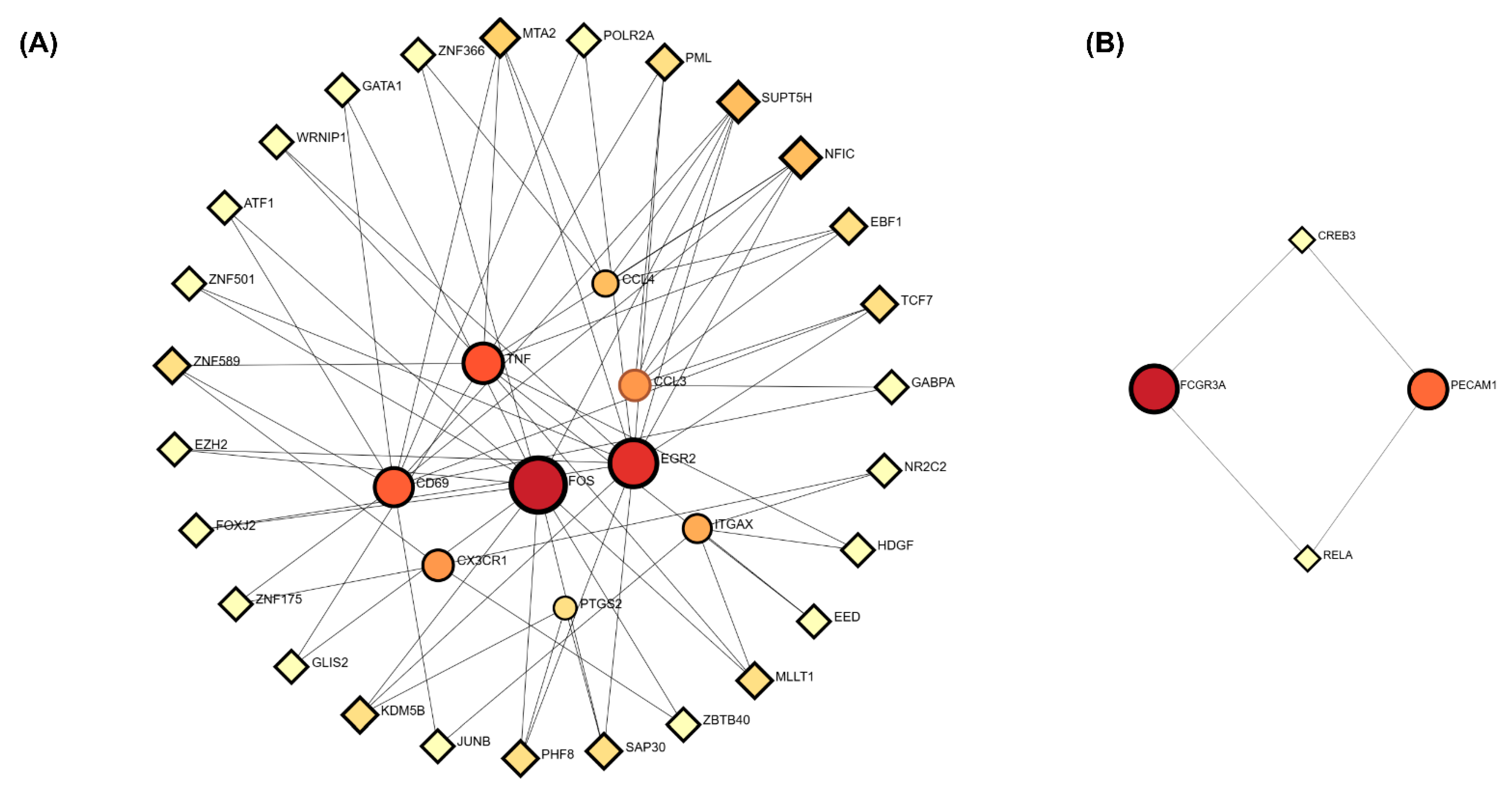Biomedicines 13 02133 g007 Biomedicines 13 02133 g007
