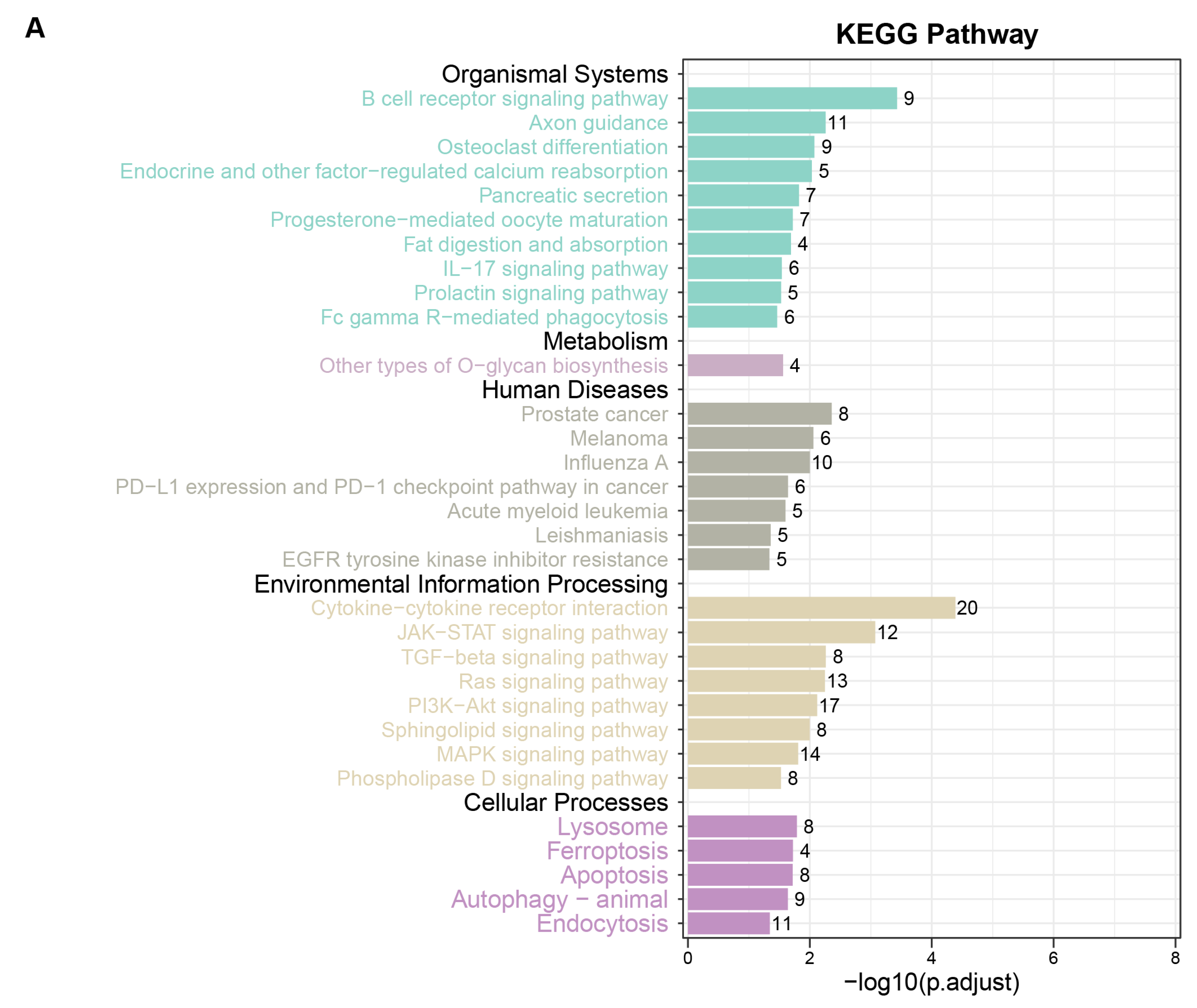 Biomedicines 13 02135 g002a Biomedicines 13 02135 g002a