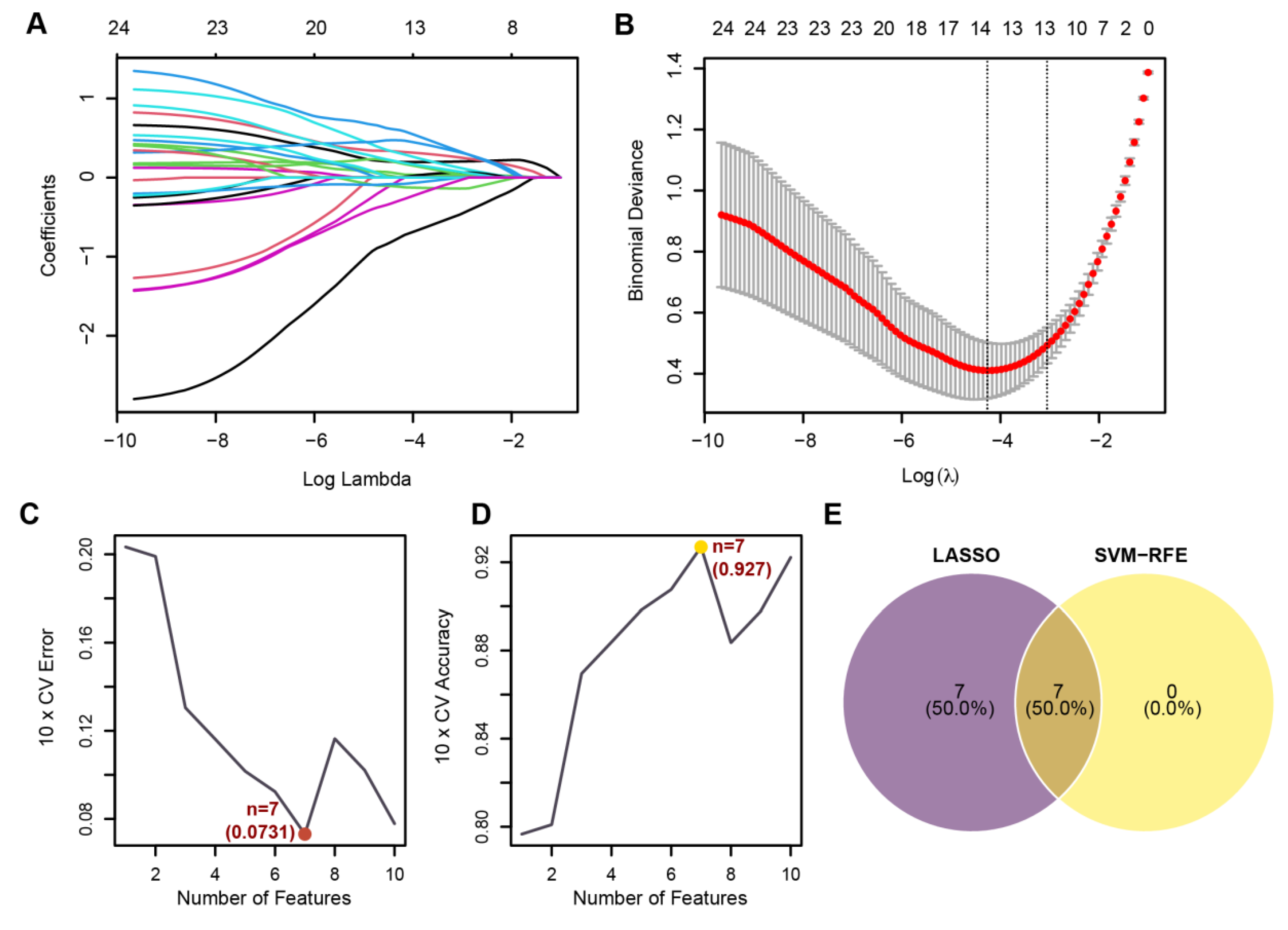 Biomedicines 13 02135 g006a Biomedicines 13 02135 g006a