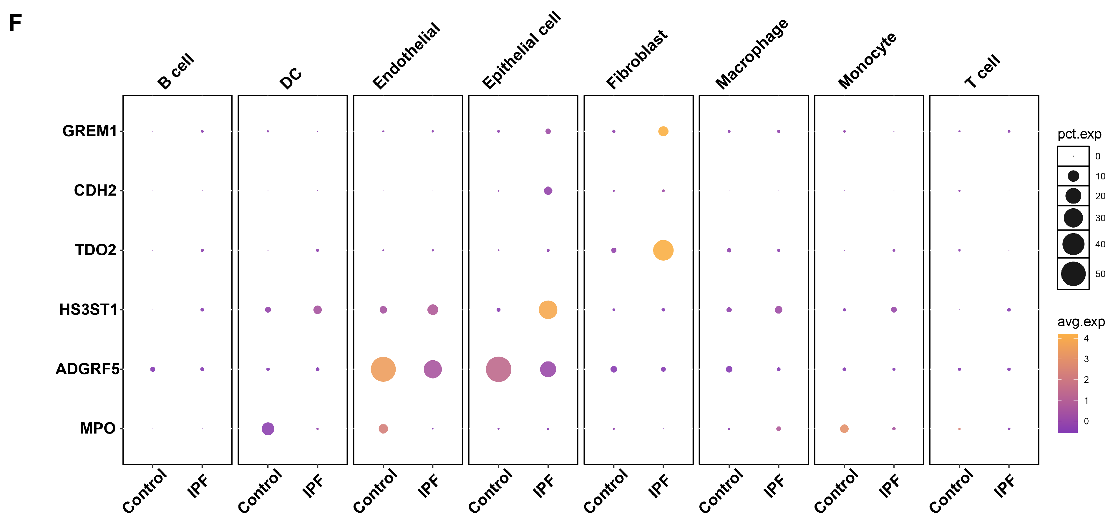 Biomedicines 13 02135 g007b Biomedicines 13 02135 g007b
