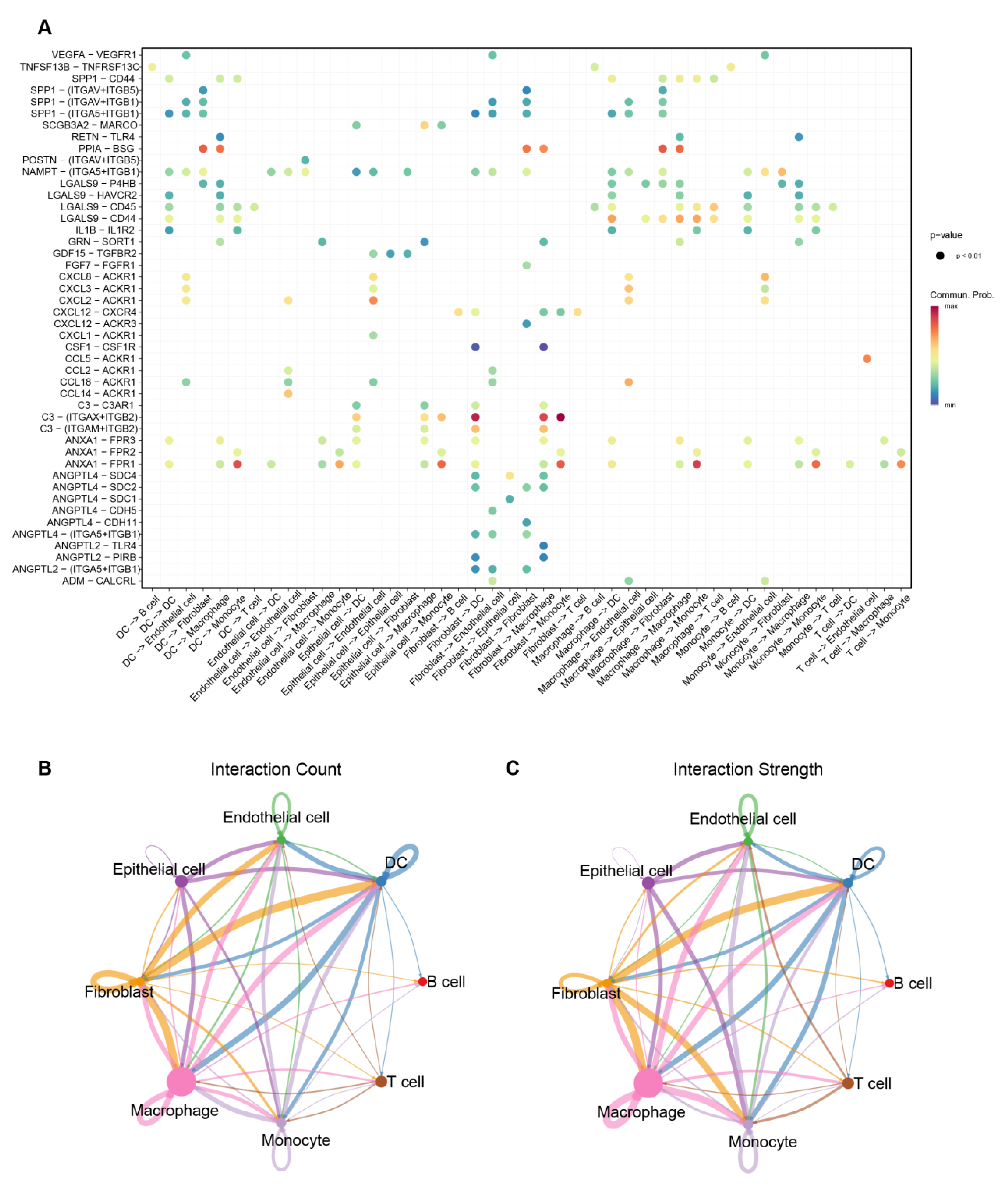 Biomedicines 13 02135 g008 Biomedicines 13 02135 g008