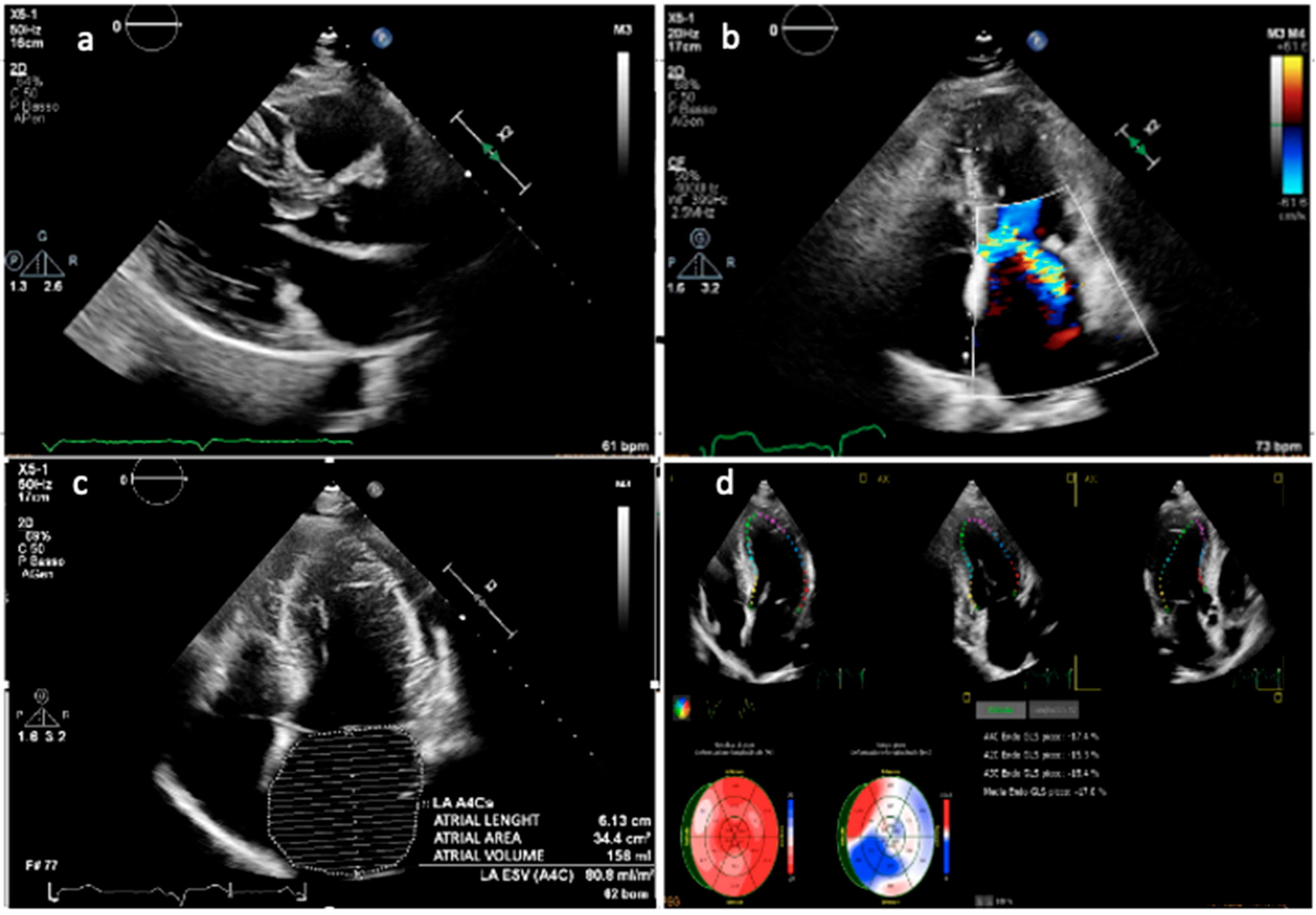 Biomedicines 13 02138 g001