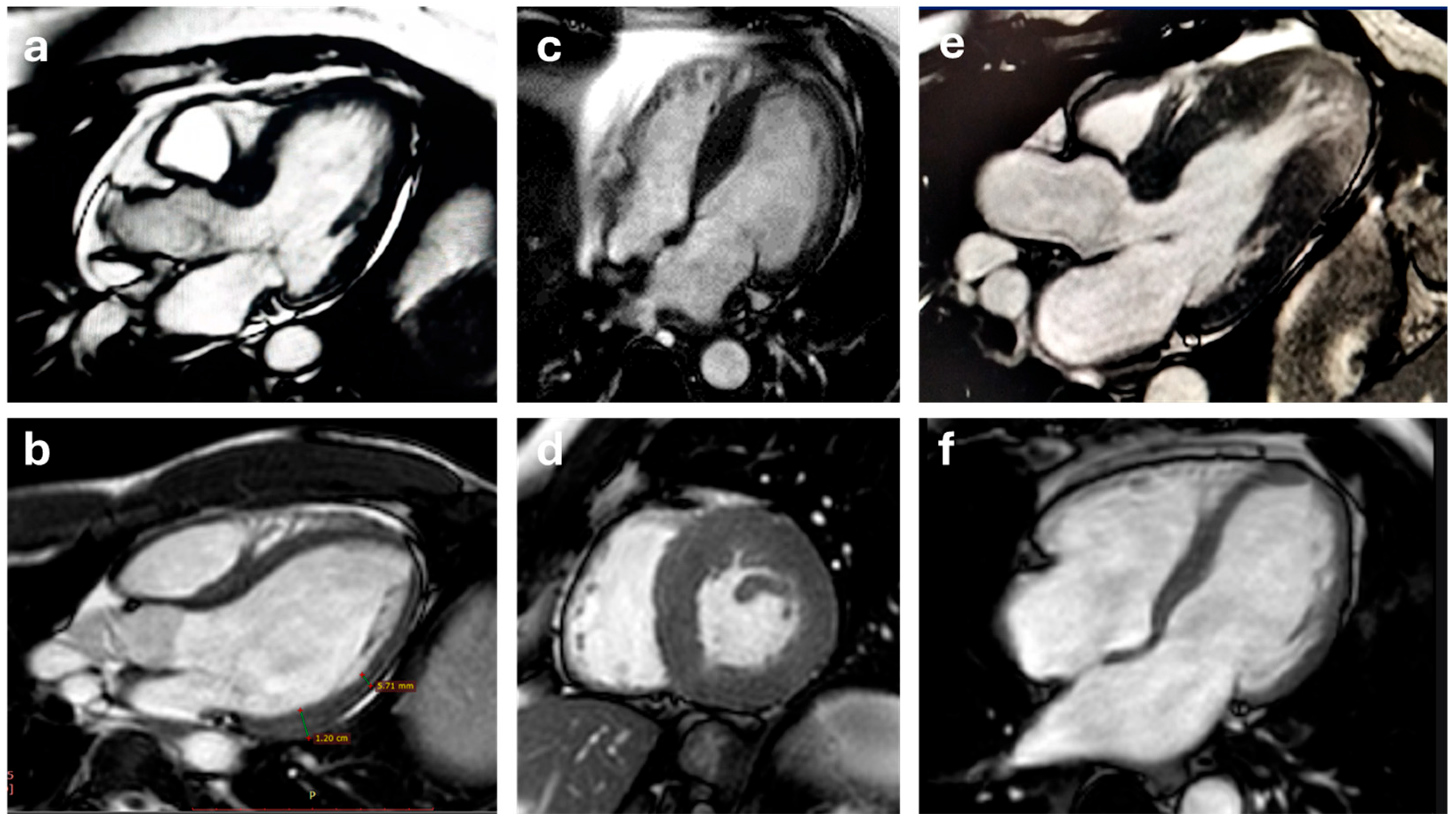 Biomedicines 13 02138 g002