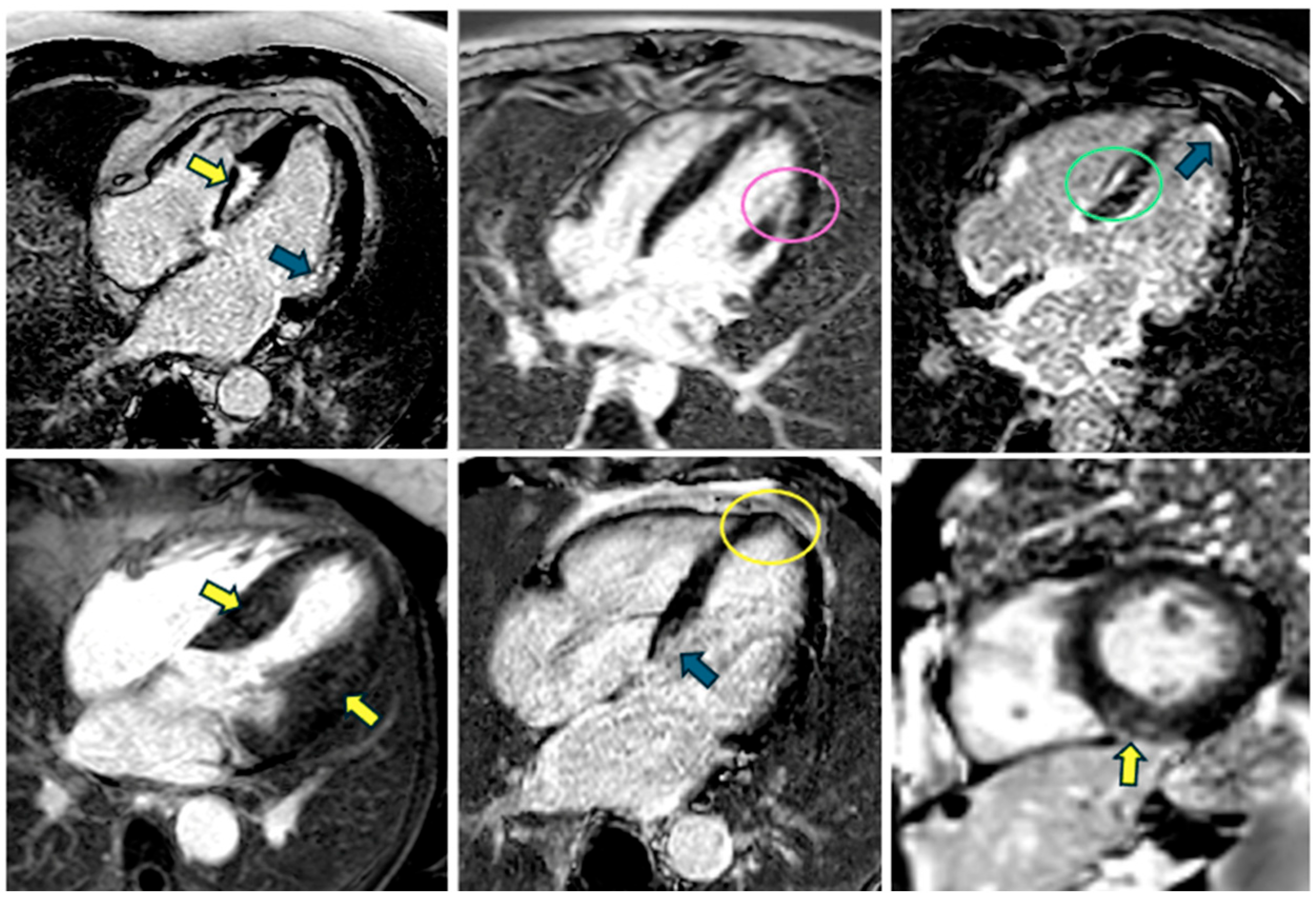 Biomedicines 13 02138 g003