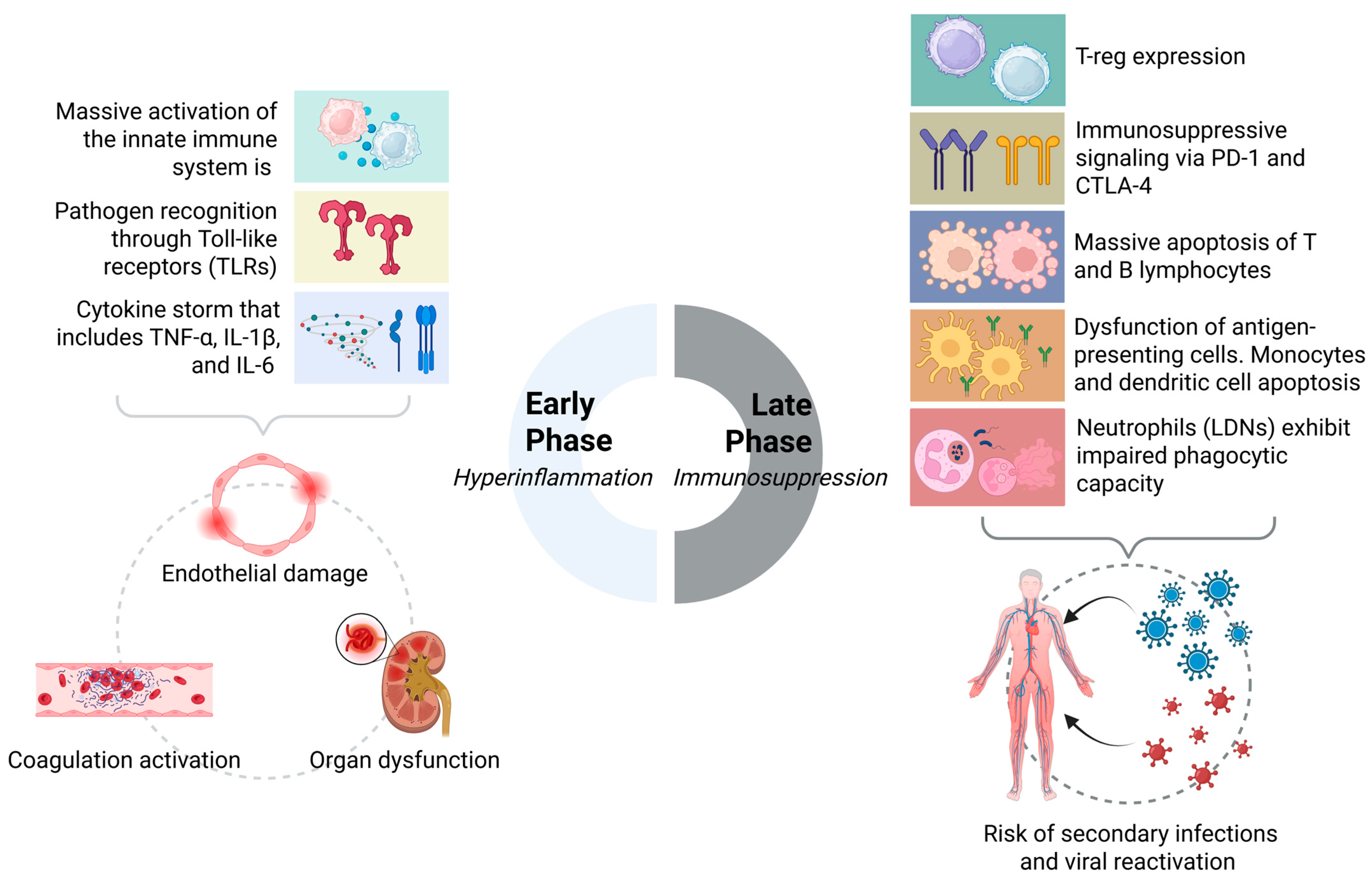 Biomedicines 13 02139 g002 Biomedicines 13 02139 g002