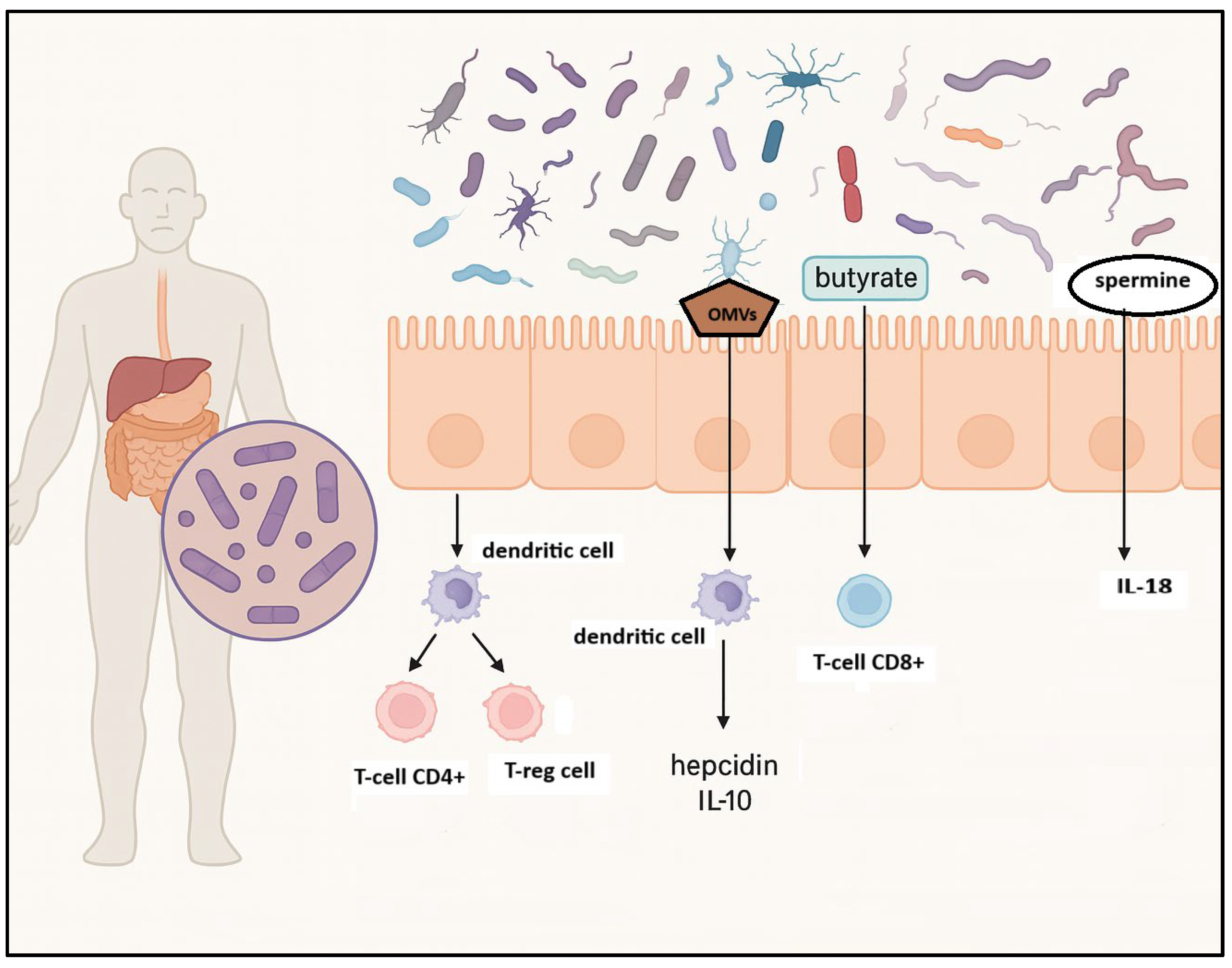 Biomedicines 13 02141 g001