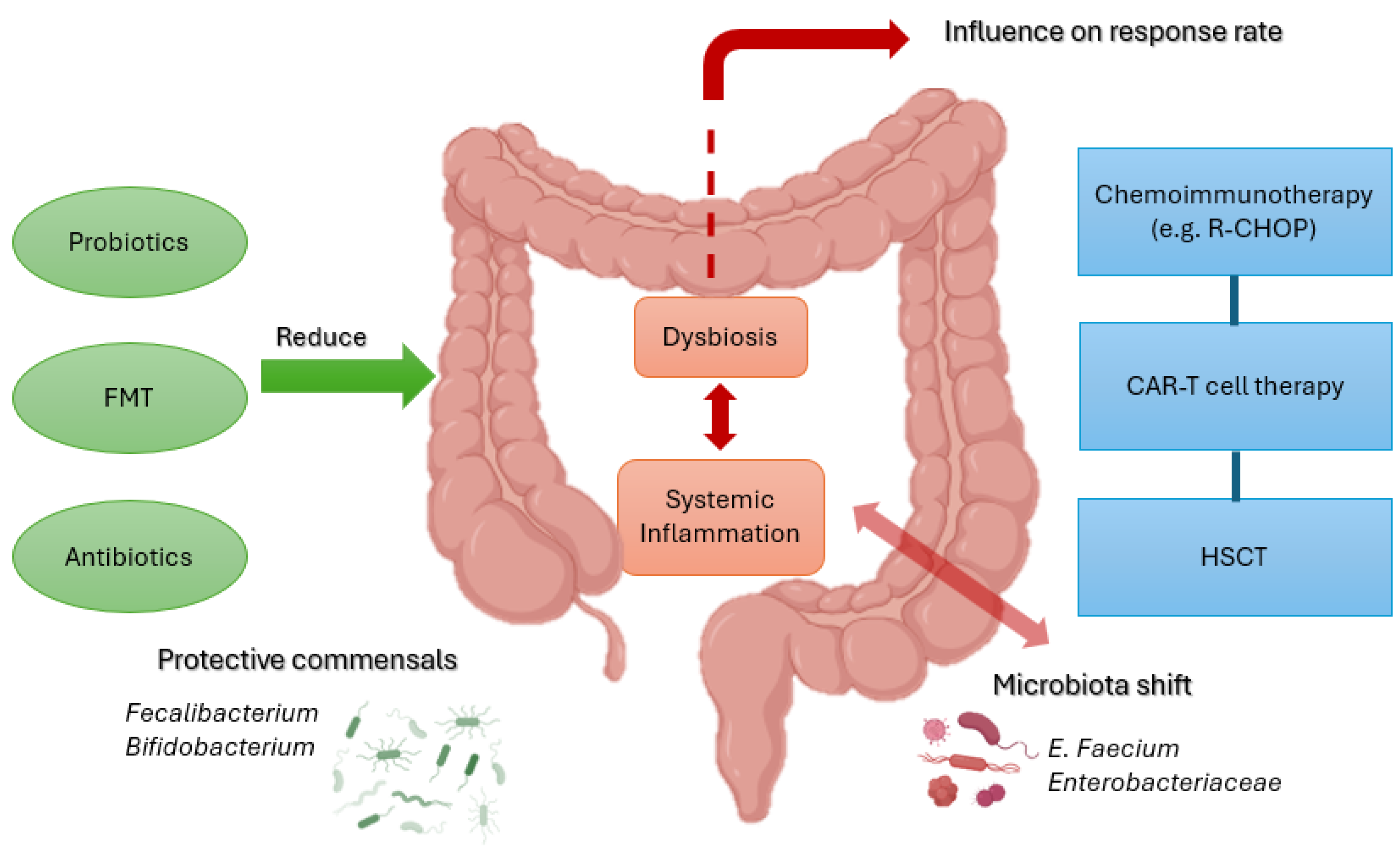 Biomedicines 13 02141 g002