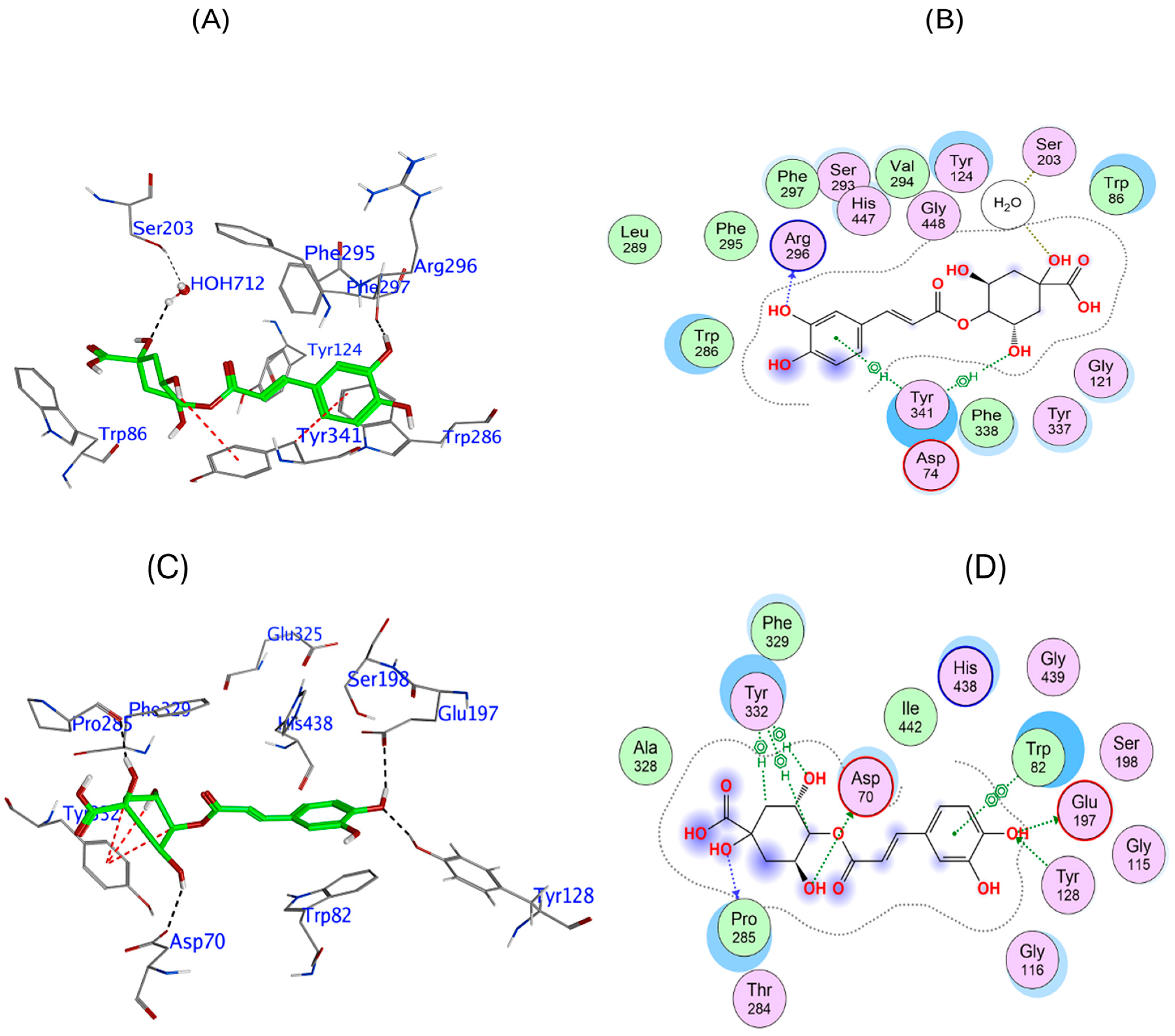 Biomedicines 13 02148 g003 Biomedicines 13 02148 g003