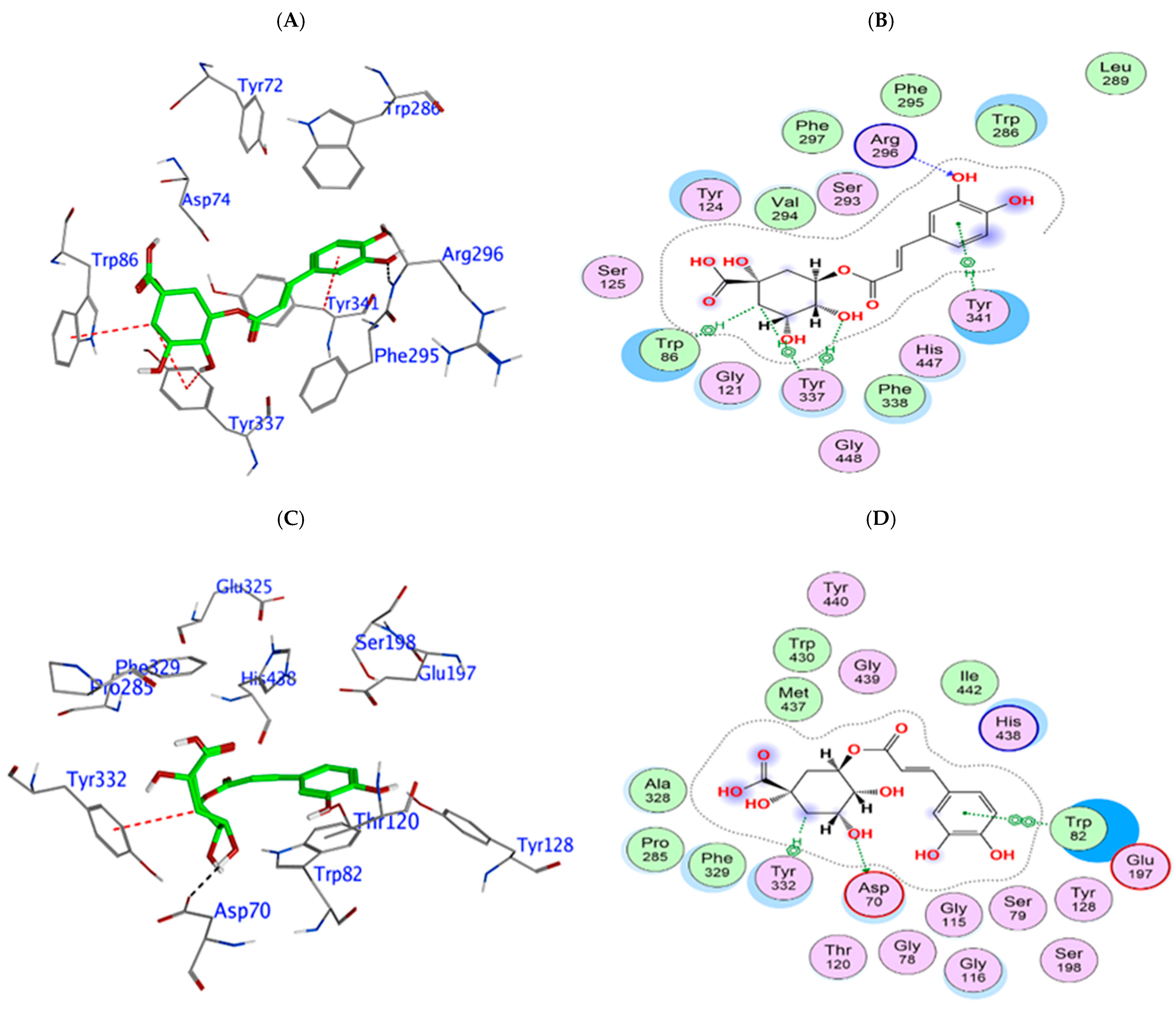 Biomedicines 13 02148 g005 Biomedicines 13 02148 g005