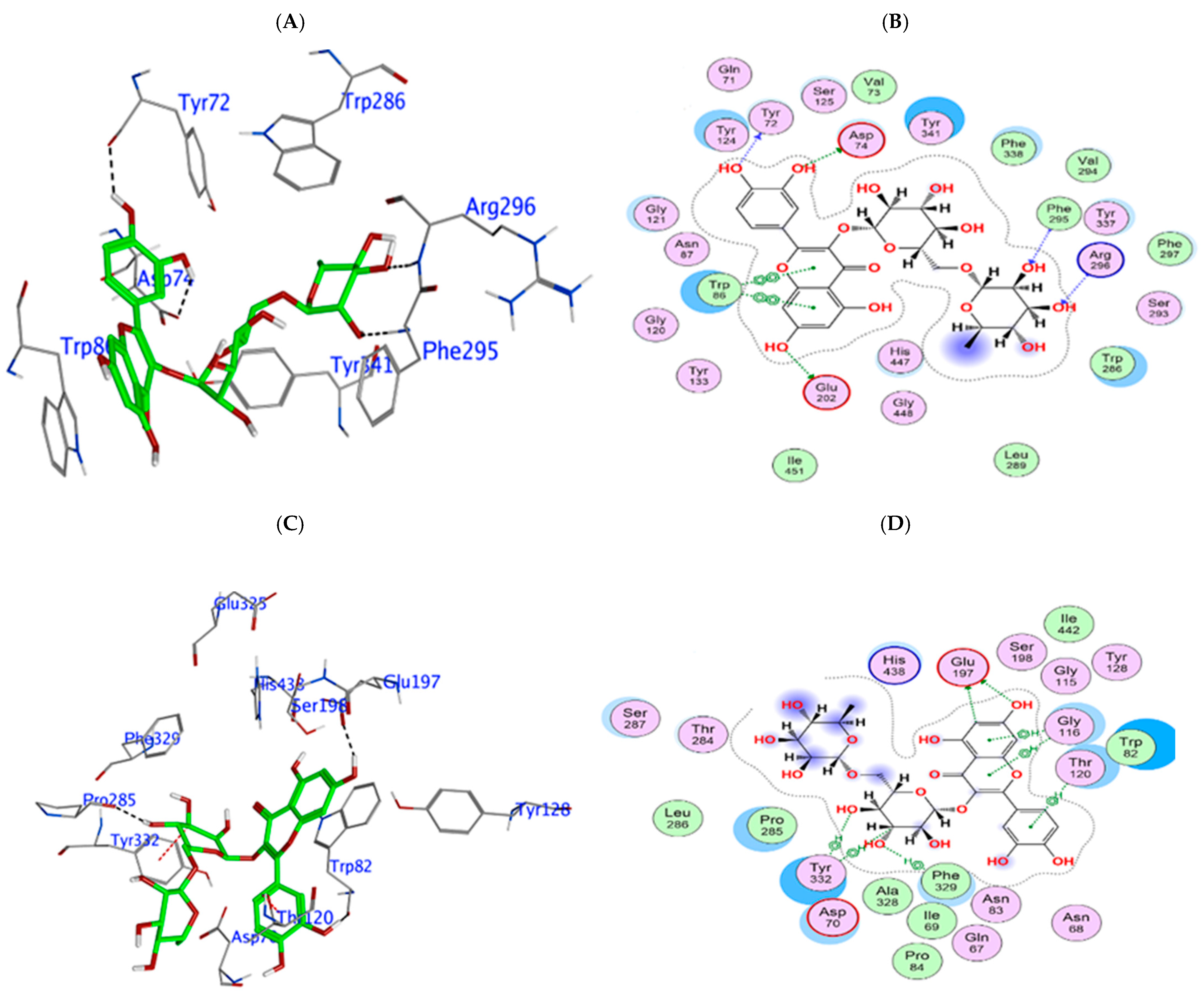 Biomedicines 13 02148 g006 Biomedicines 13 02148 g006