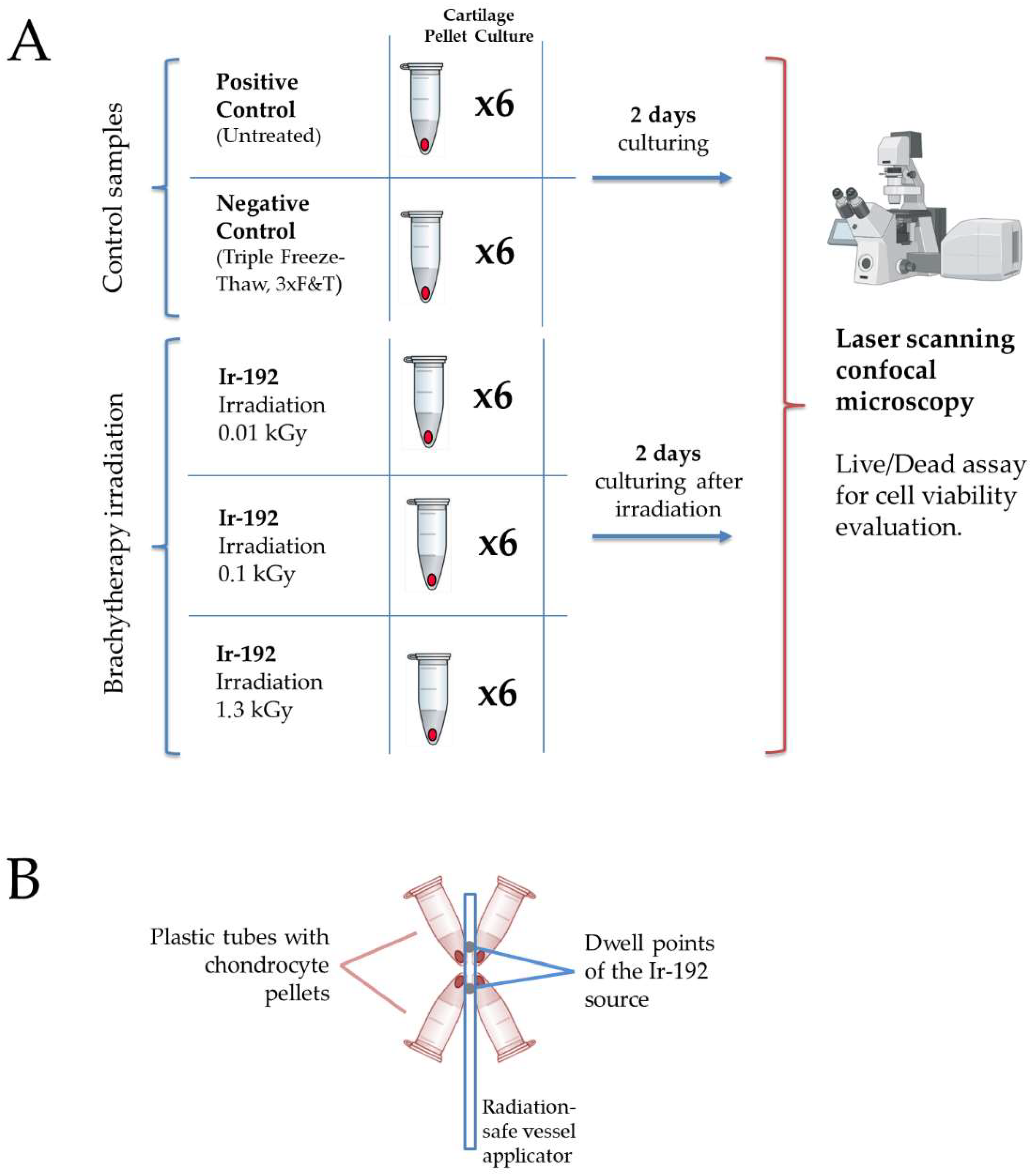 Biomedicines 13 02153 g001