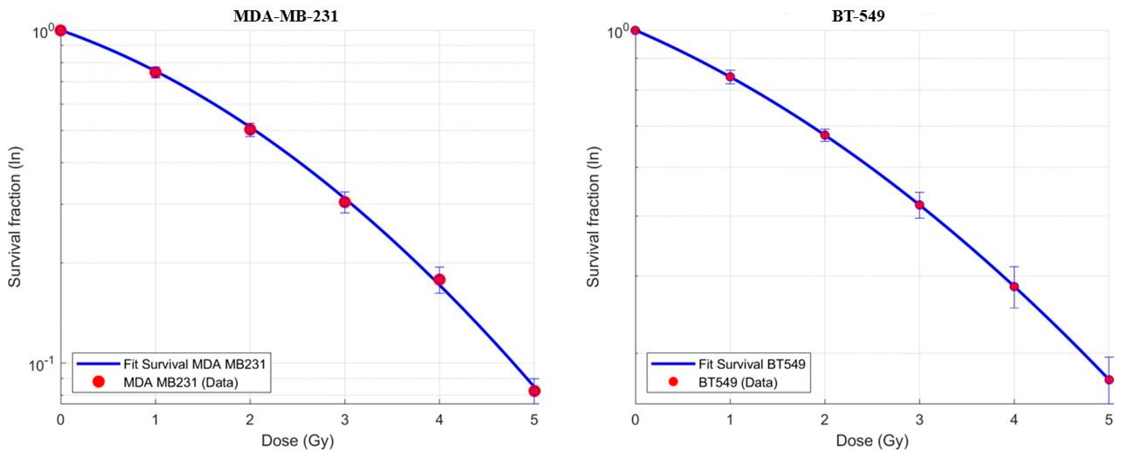 Biomedicines 13 02154 g001