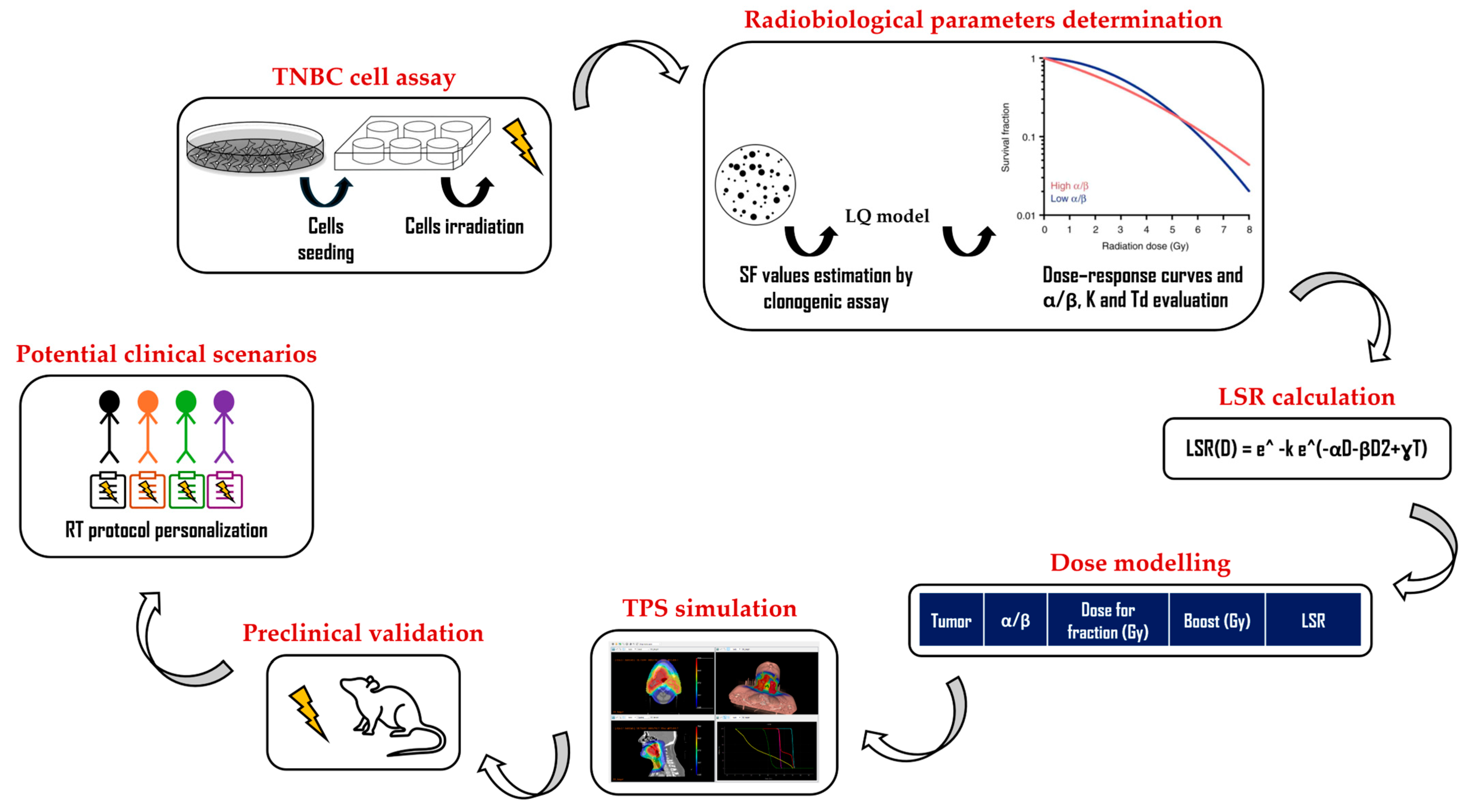 Biomedicines 13 02154 g002