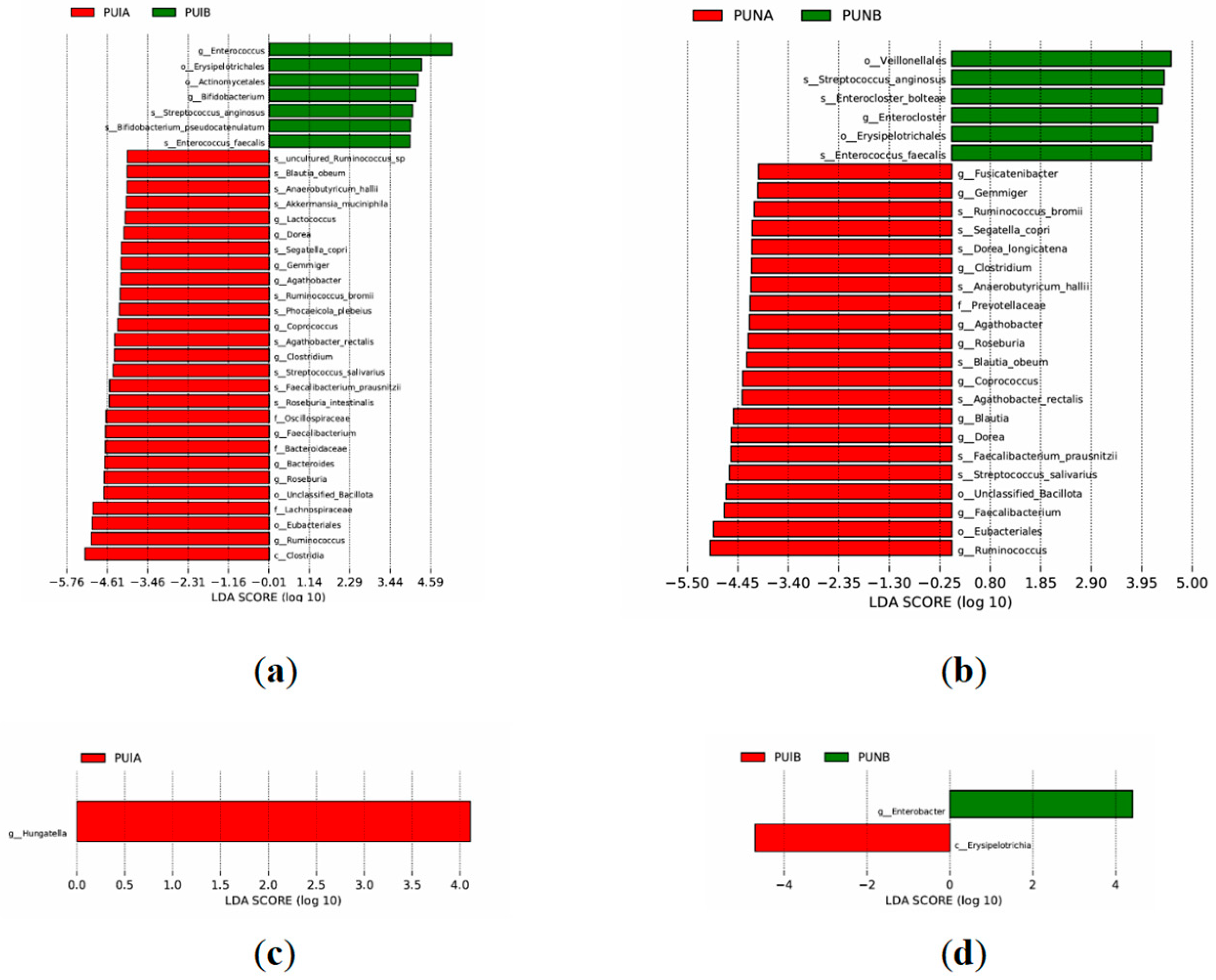 Biomedicines 13 02163 g007