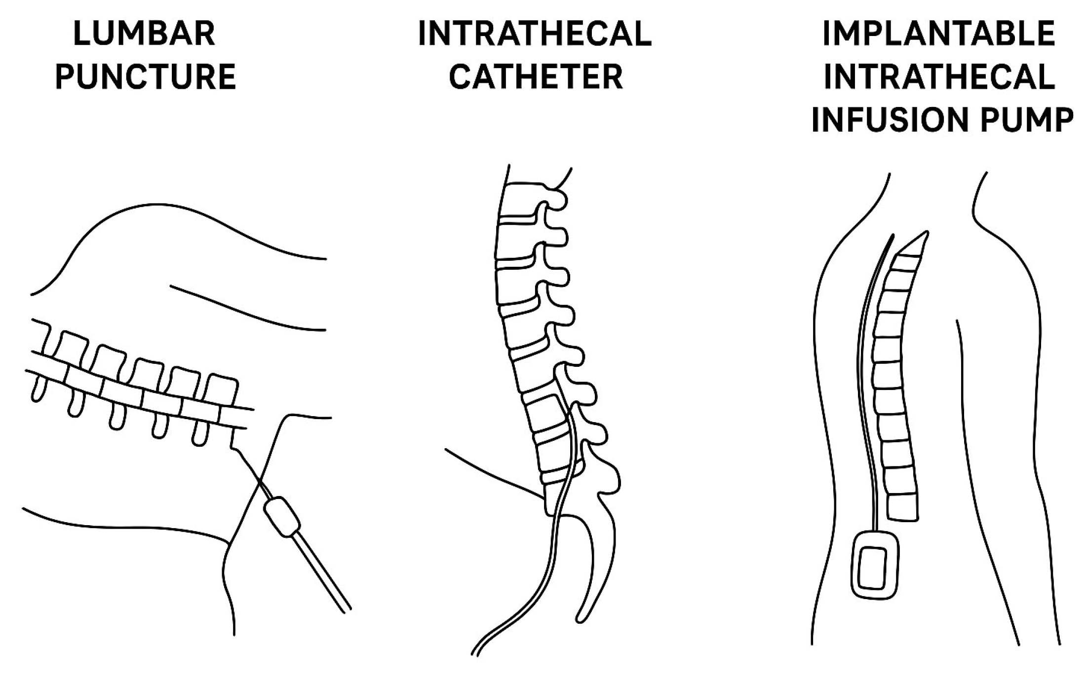 Biomedicines 13 02167 g001