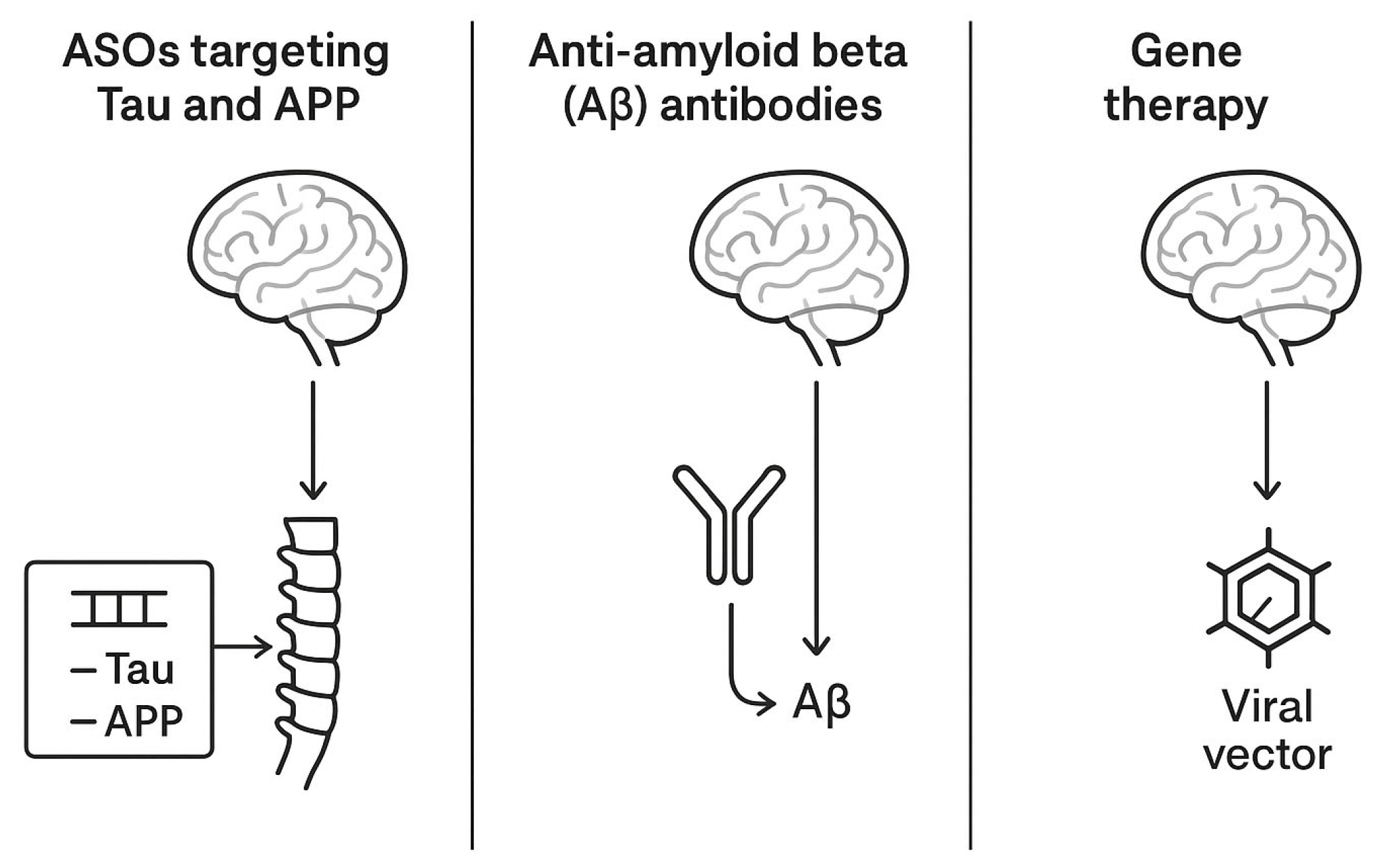 Biomedicines 13 02167 g002