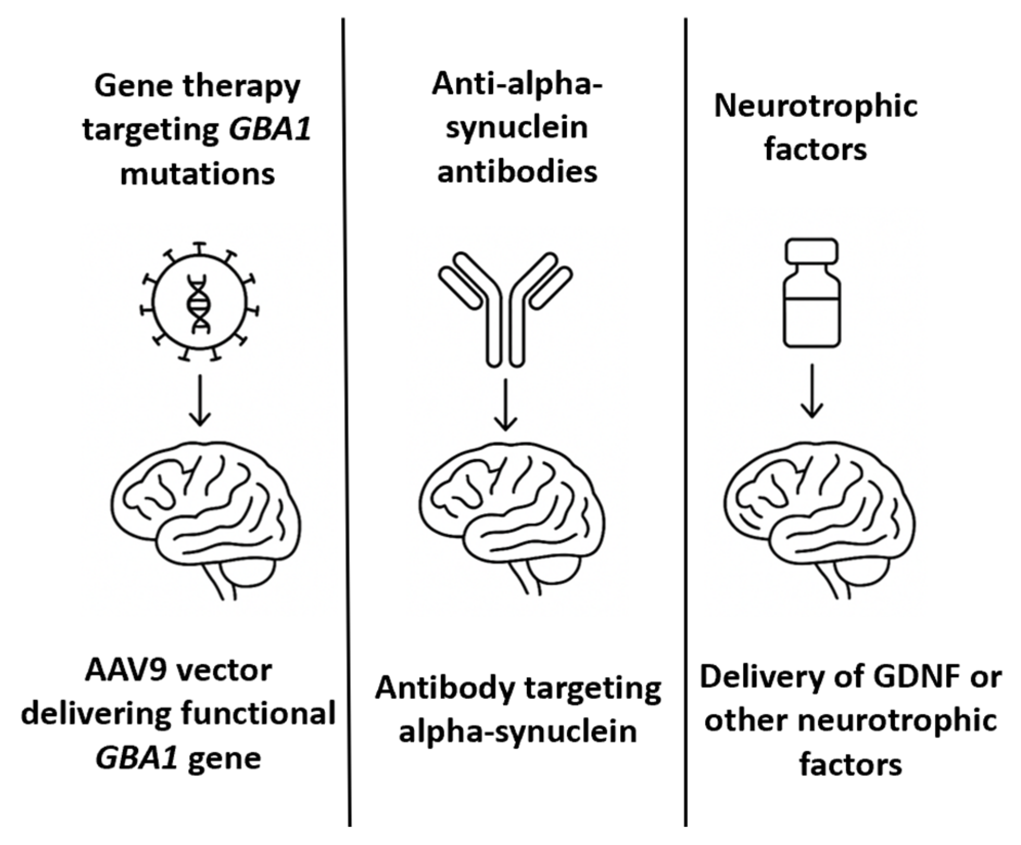 Biomedicines 13 02167 g003