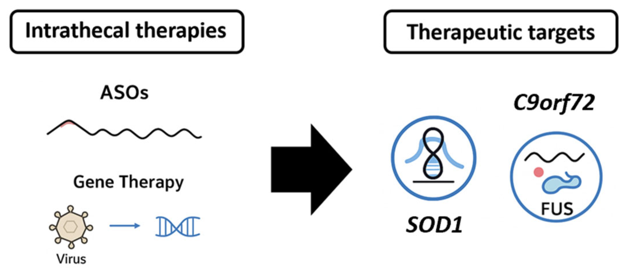 Biomedicines 13 02167 g005