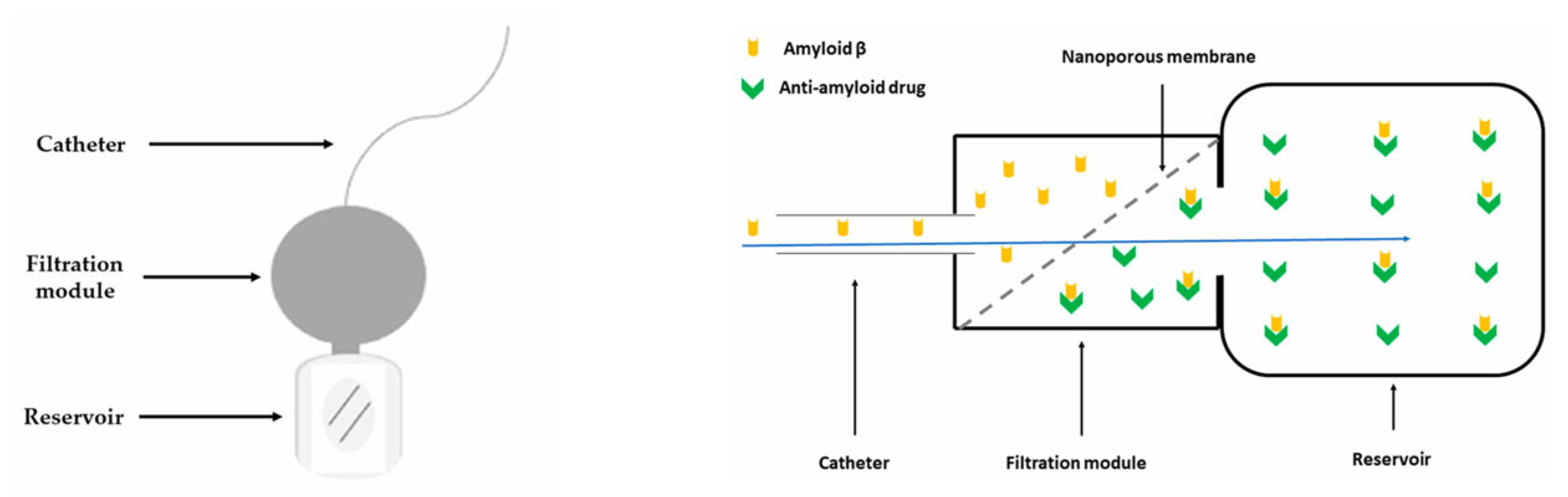 Biomedicines 13 02167 g006