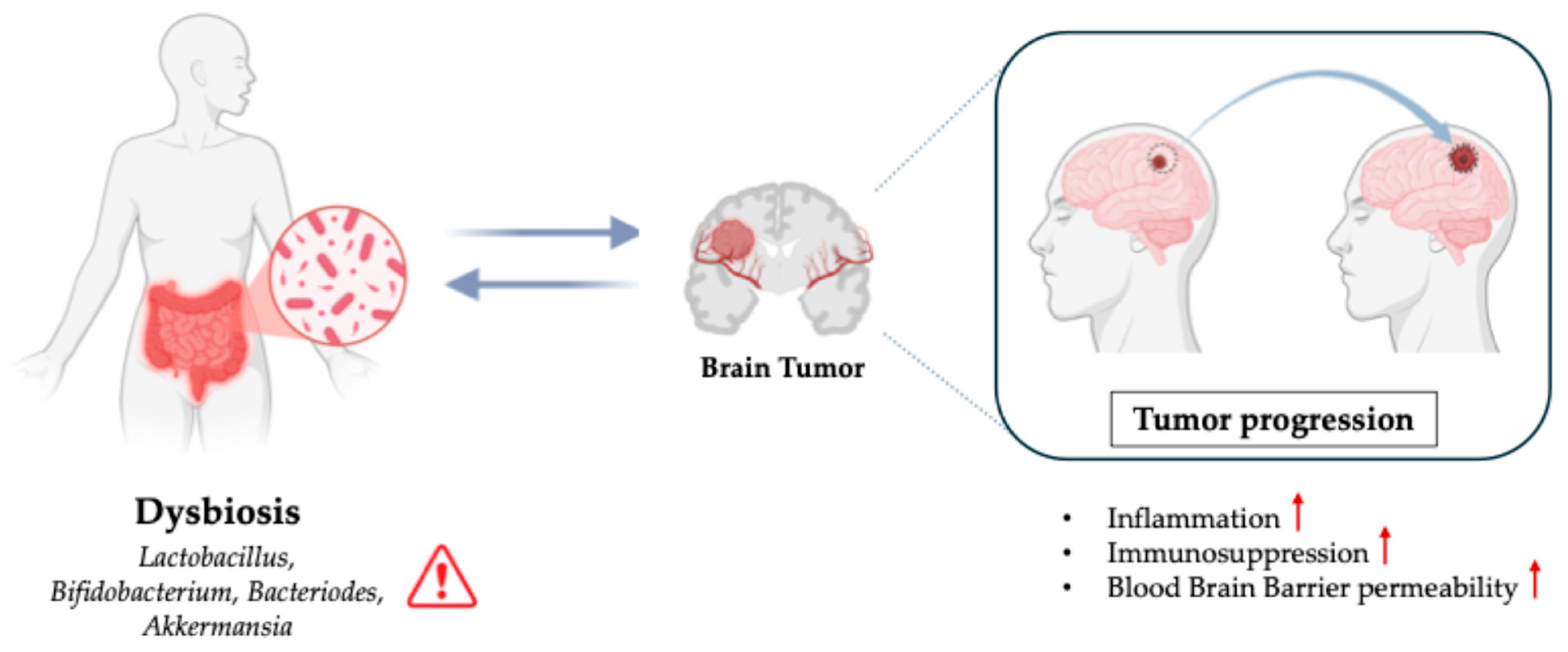 Biomedicines 13 02172 g002 Biomedicines 13 02172 g002