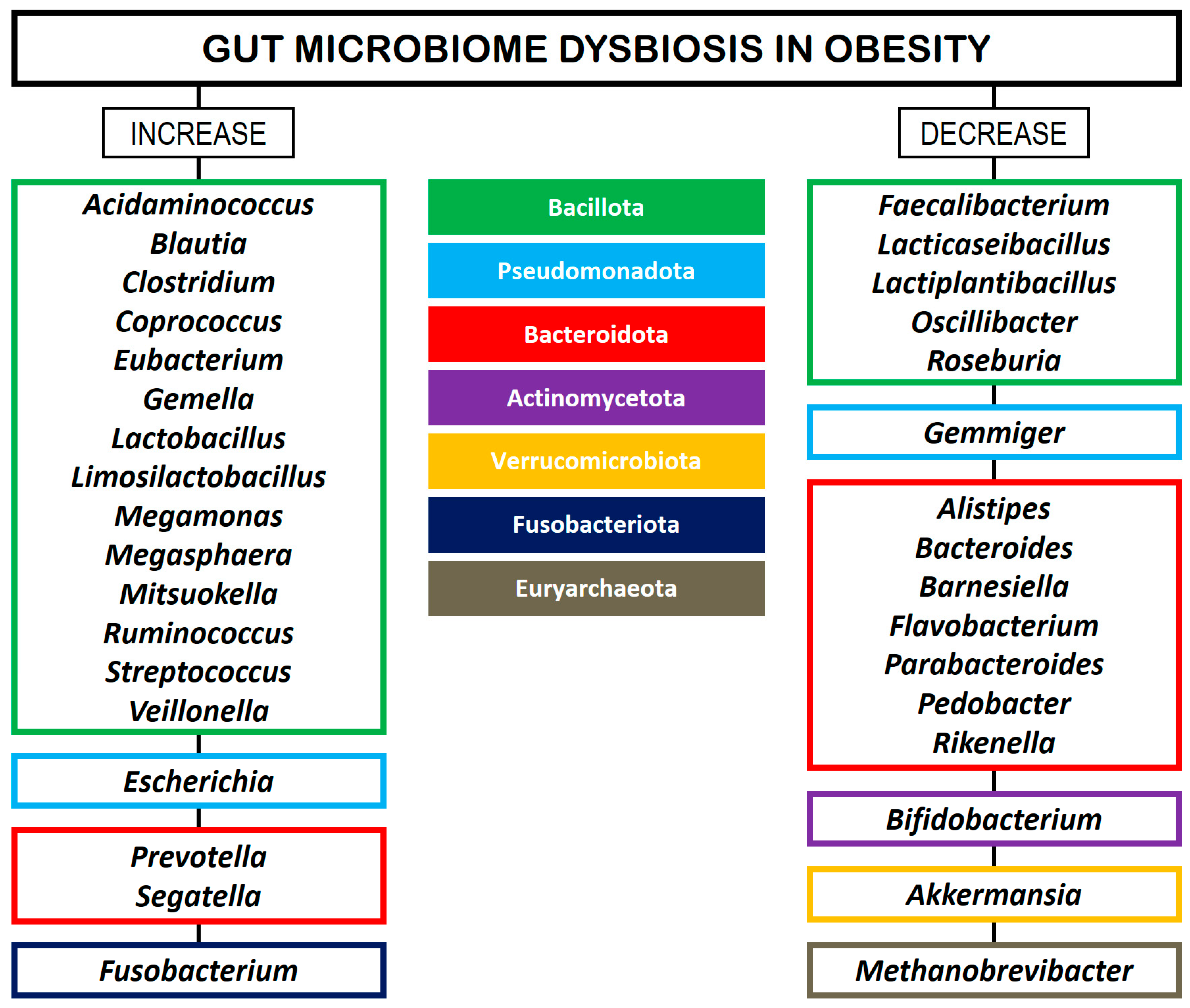 Biomedicines 13 02173 g001 Biomedicines 13 02173 g001