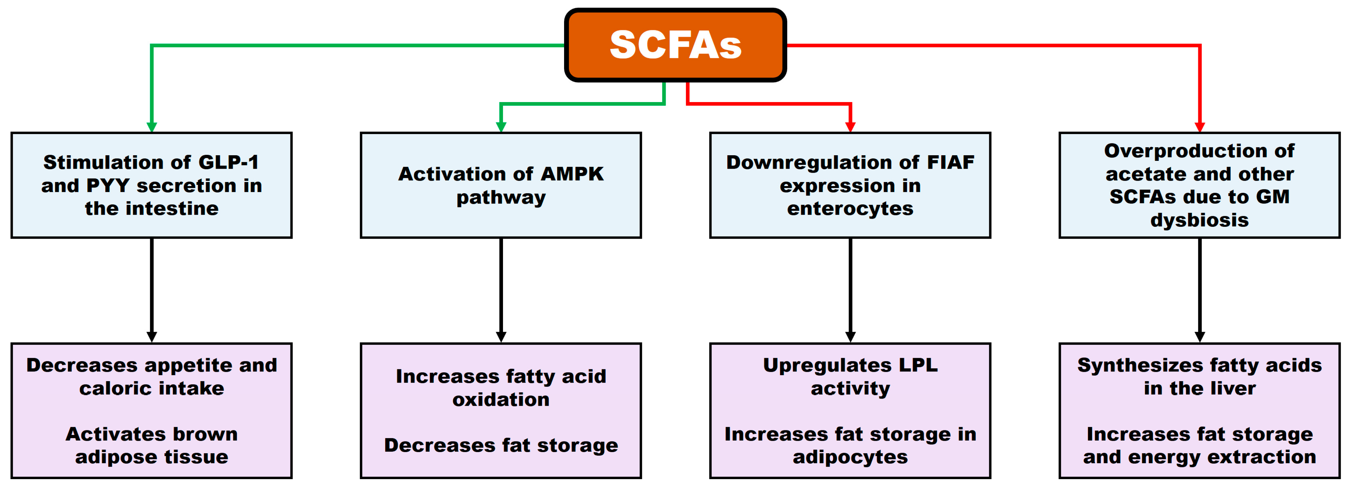 Biomedicines 13 02173 g002 Biomedicines 13 02173 g002