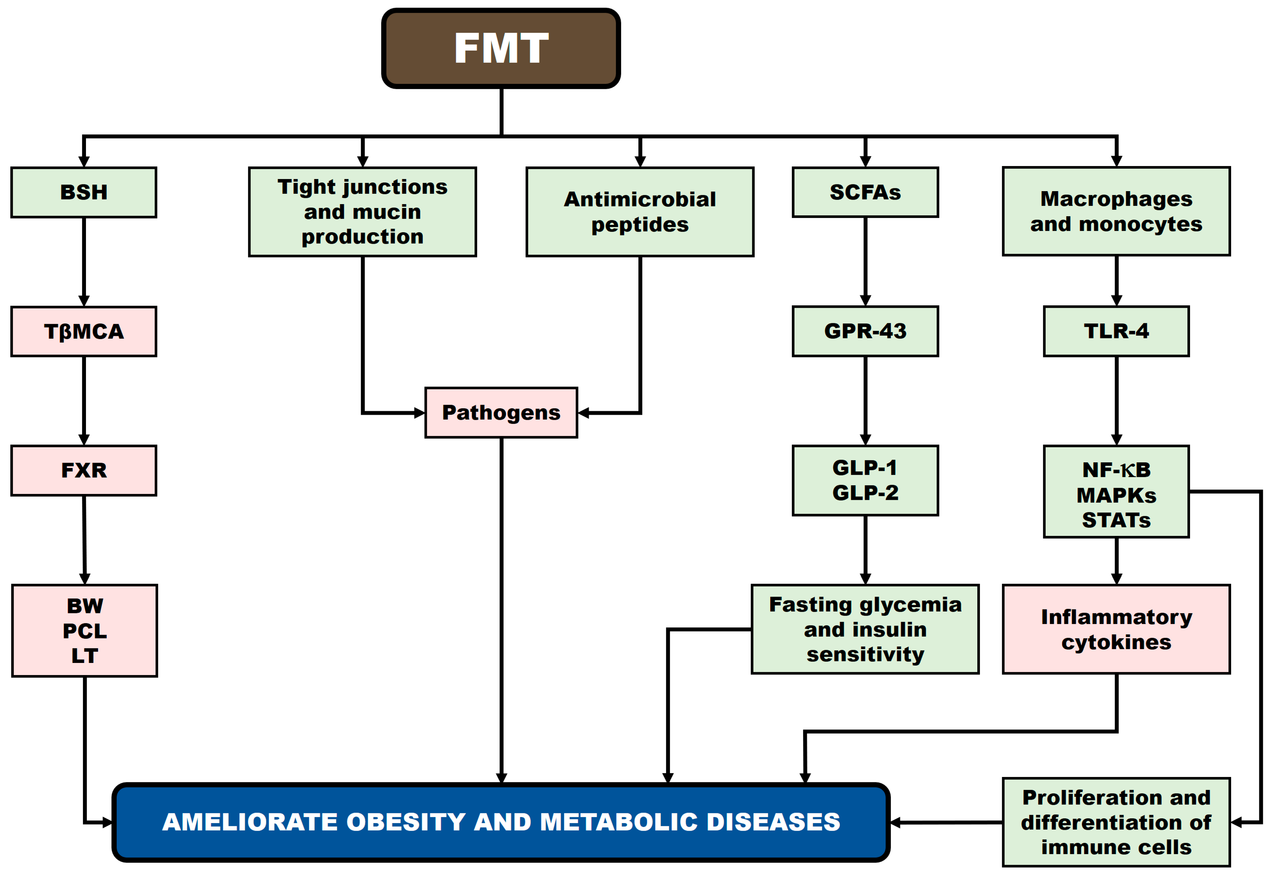 Biomedicines 13 02173 g003 Biomedicines 13 02173 g003