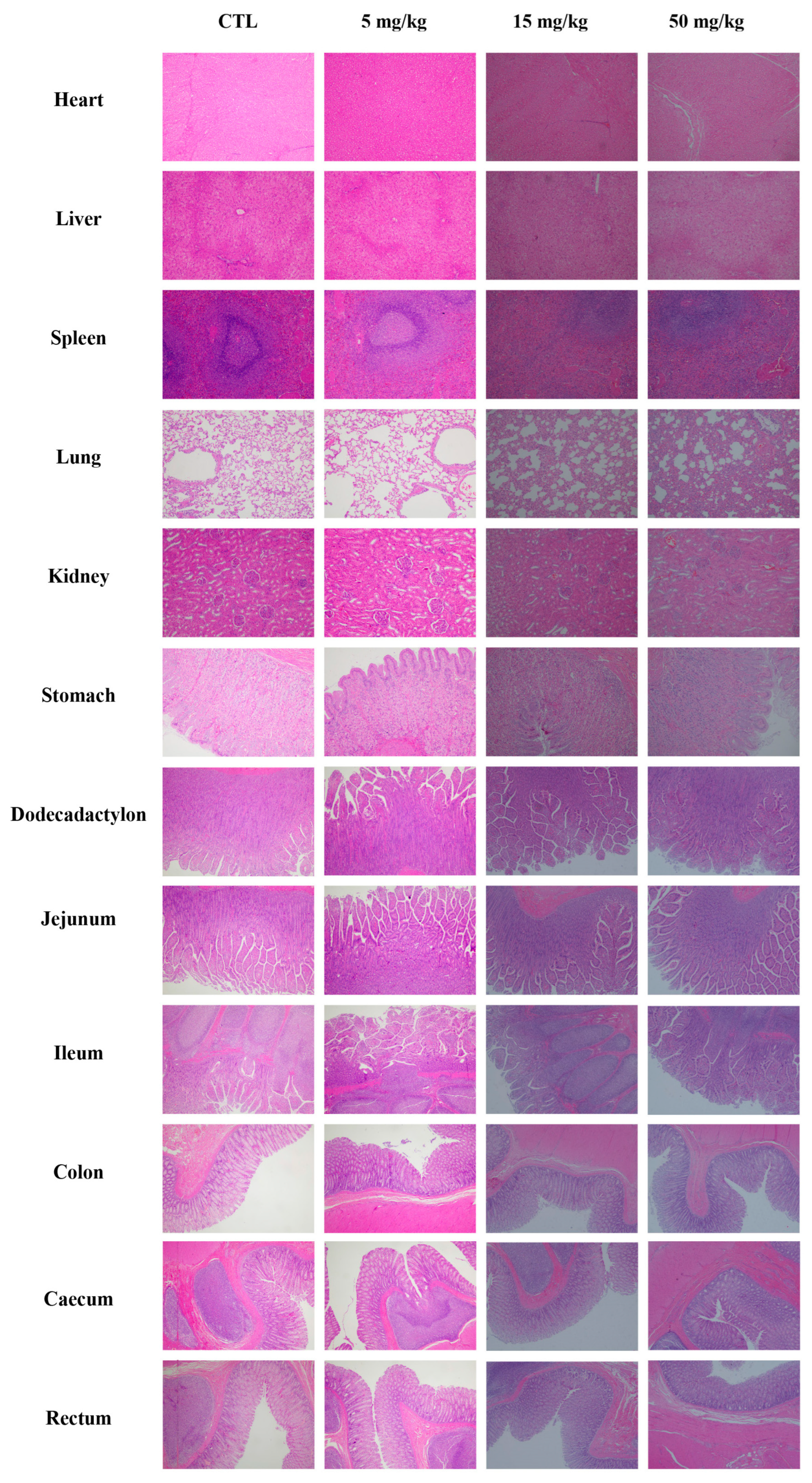 Biomedicines 13 02180 g010