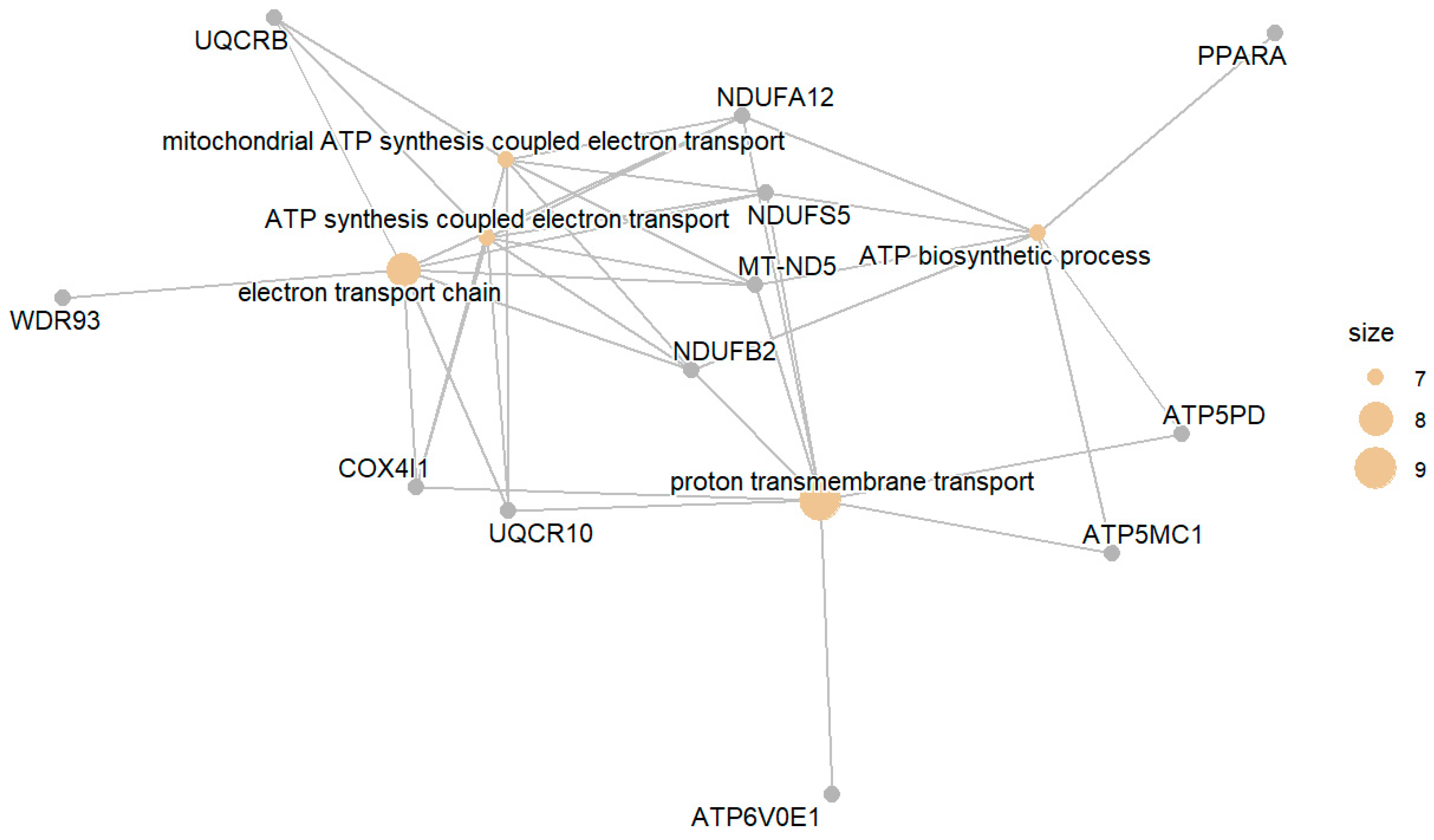 Biomedicines 13 02181 g001 Biomedicines 13 02181 g001
