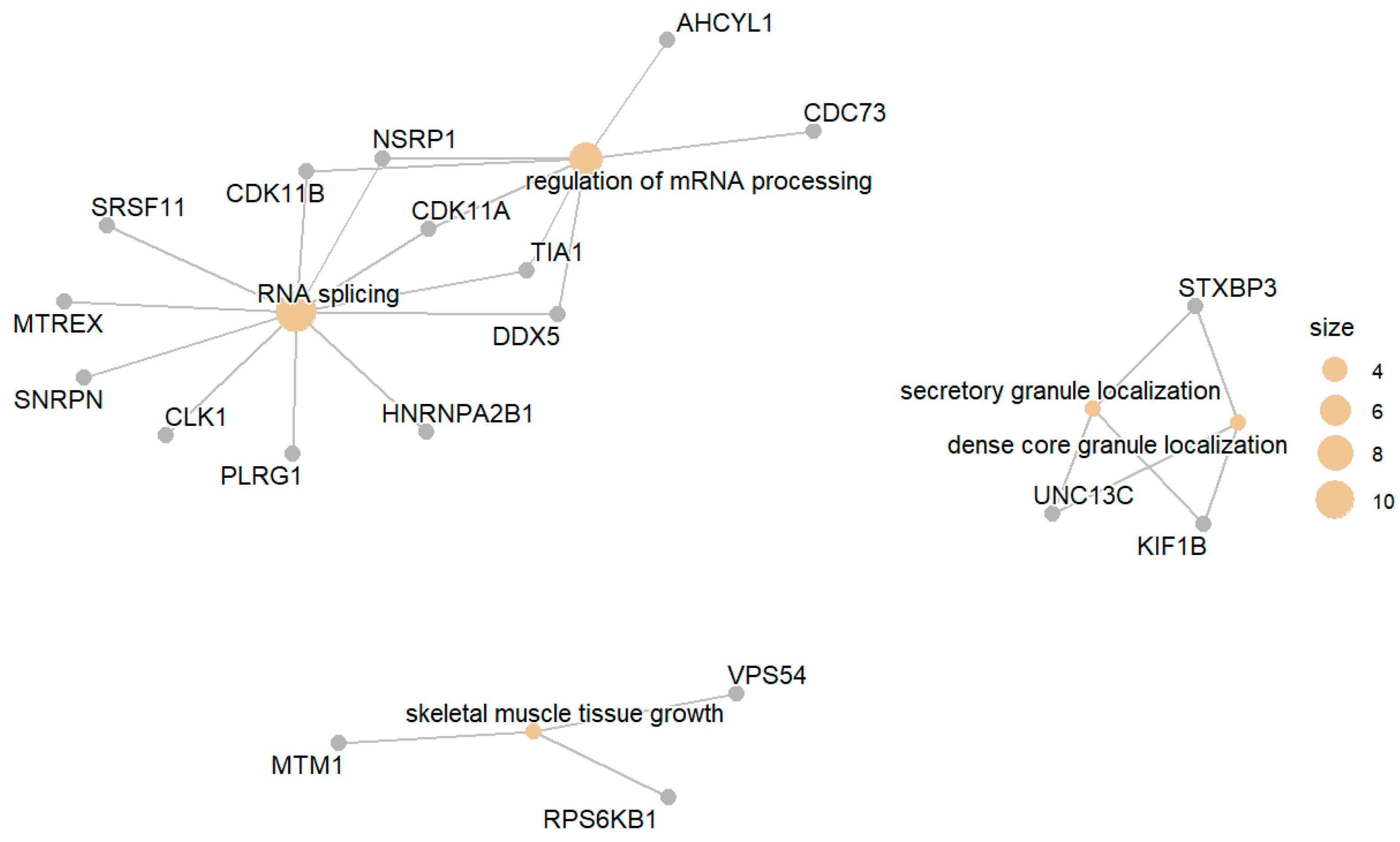 Biomedicines 13 02181 g002 Biomedicines 13 02181 g002