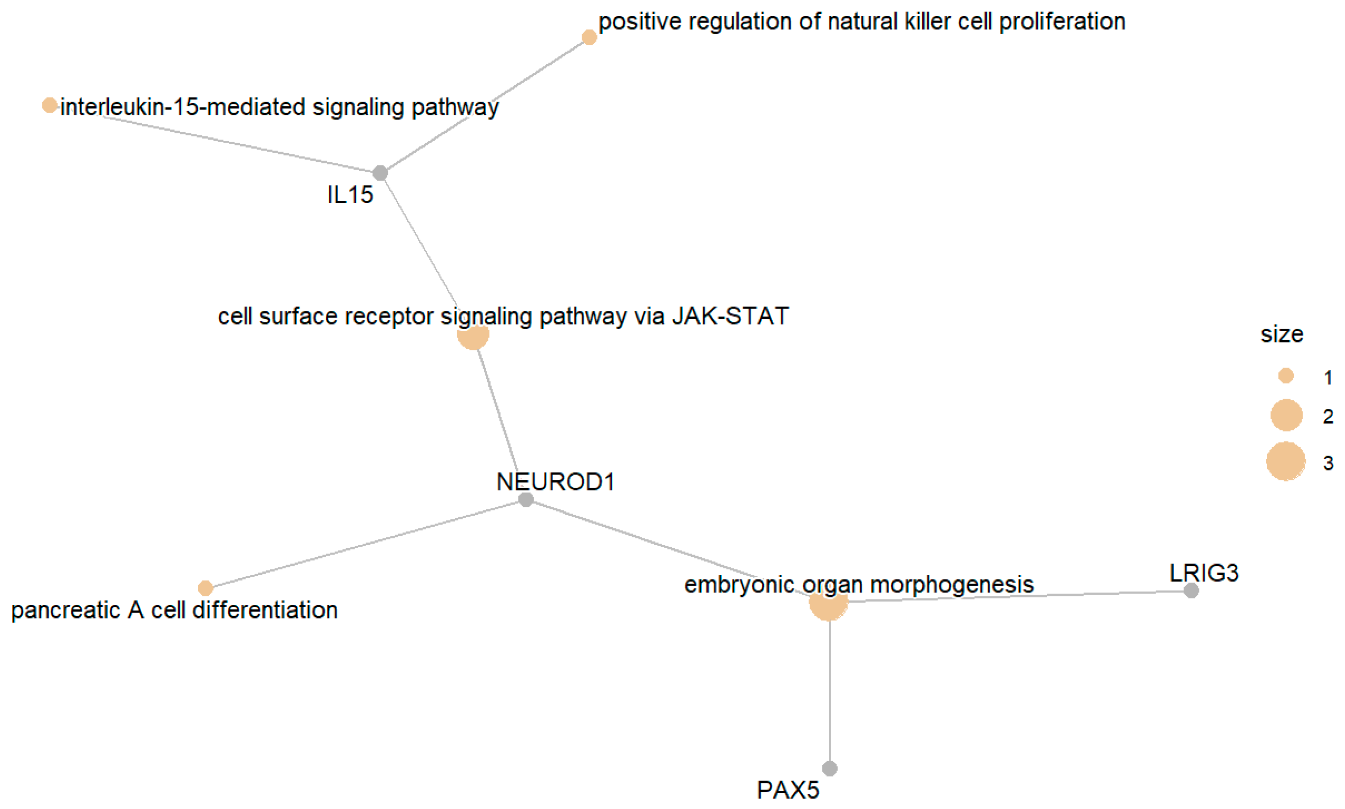 Biomedicines 13 02181 g005 Biomedicines 13 02181 g005