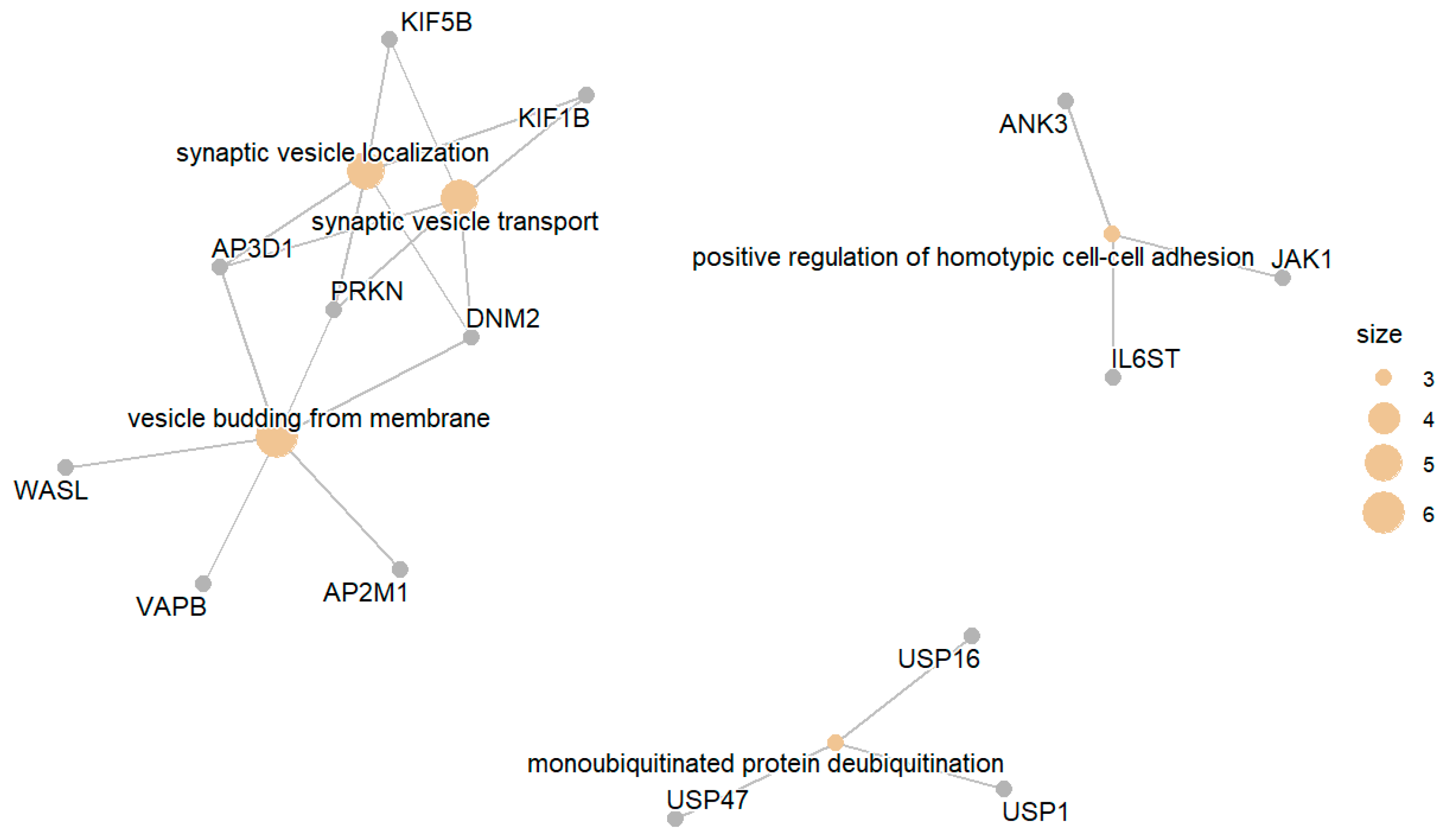 Biomedicines 13 02181 g007 Biomedicines 13 02181 g007